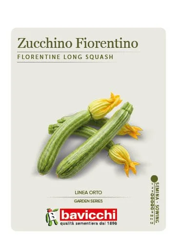 ZUCCHINO LUNGO FIORENTINO - VZU1507