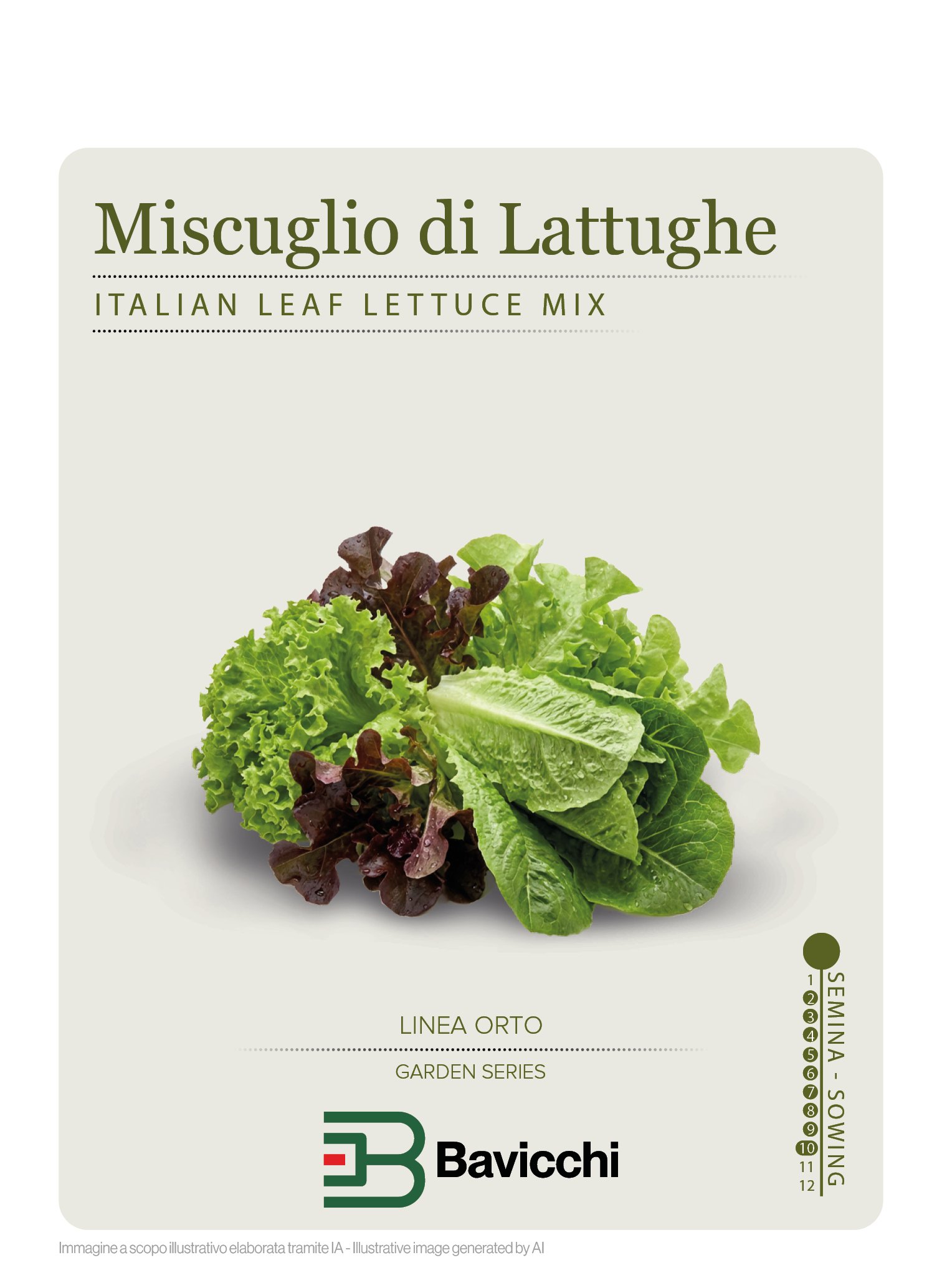 MISCUGLIO DI LATTUGHE DA TAGLIO - ZMI0507