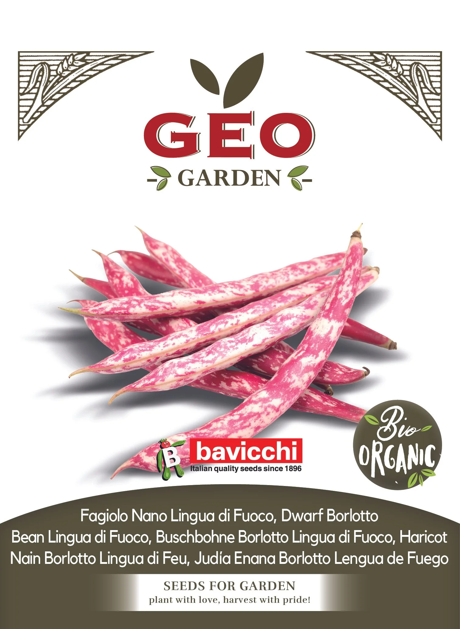 FAGIOLO NANO LINGUA DI FUOCO - VFN3503