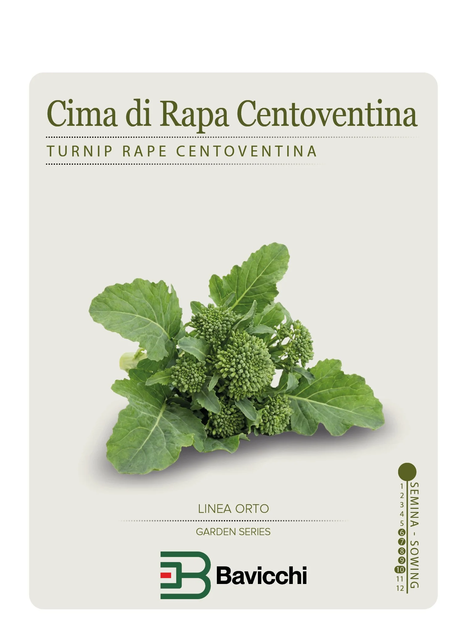 RAPA BROCCOLETTI O CIMA DI RAPA CENTOVENTINA - ZRP0107