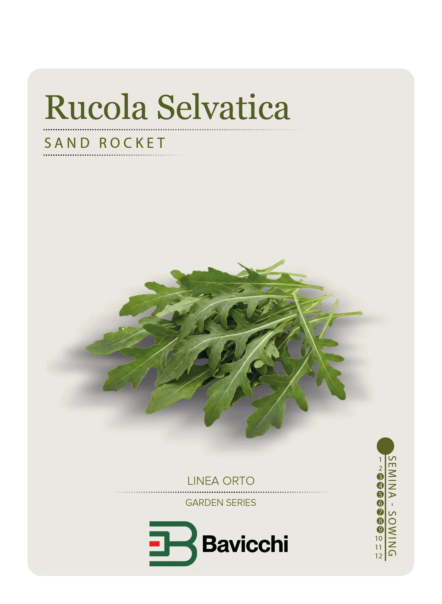 RUCOLA SELVATICA - ZRU0307