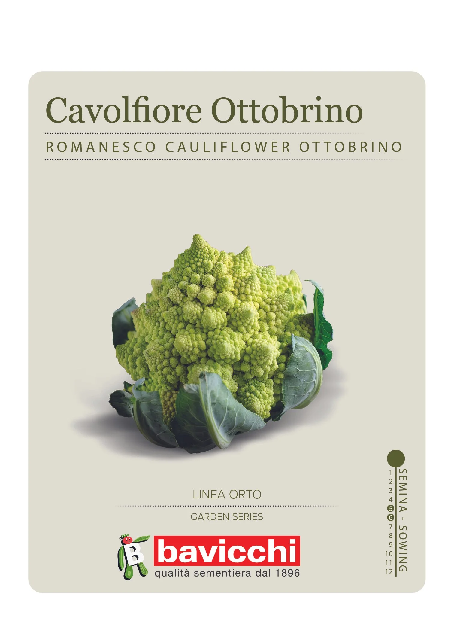 CAVOLFIORE ROMANESCO OTTOBRINO - VCF0907