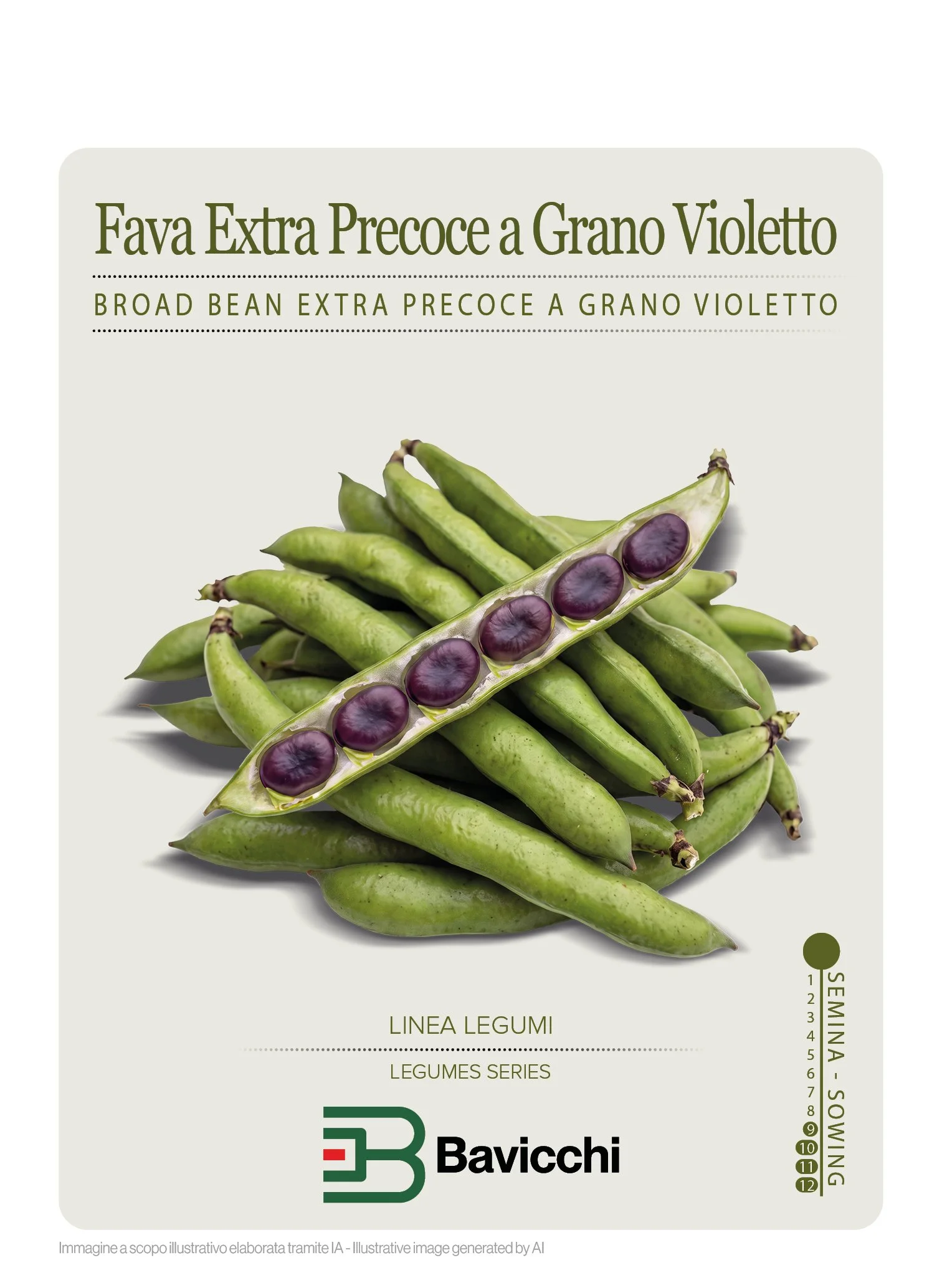FAVA EXTRA PRECOCE A GRANO VIOLETTO - VFA0507