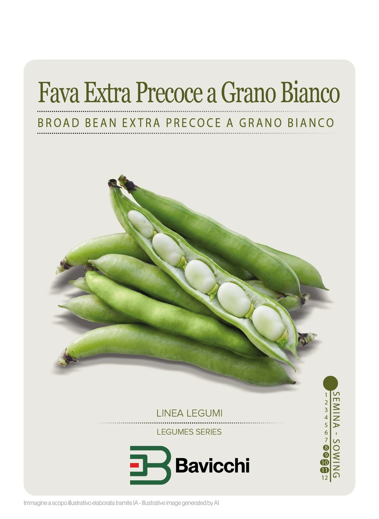 FAVA EXTRA PRECOCE A GRANO BIANCO - VFA0407