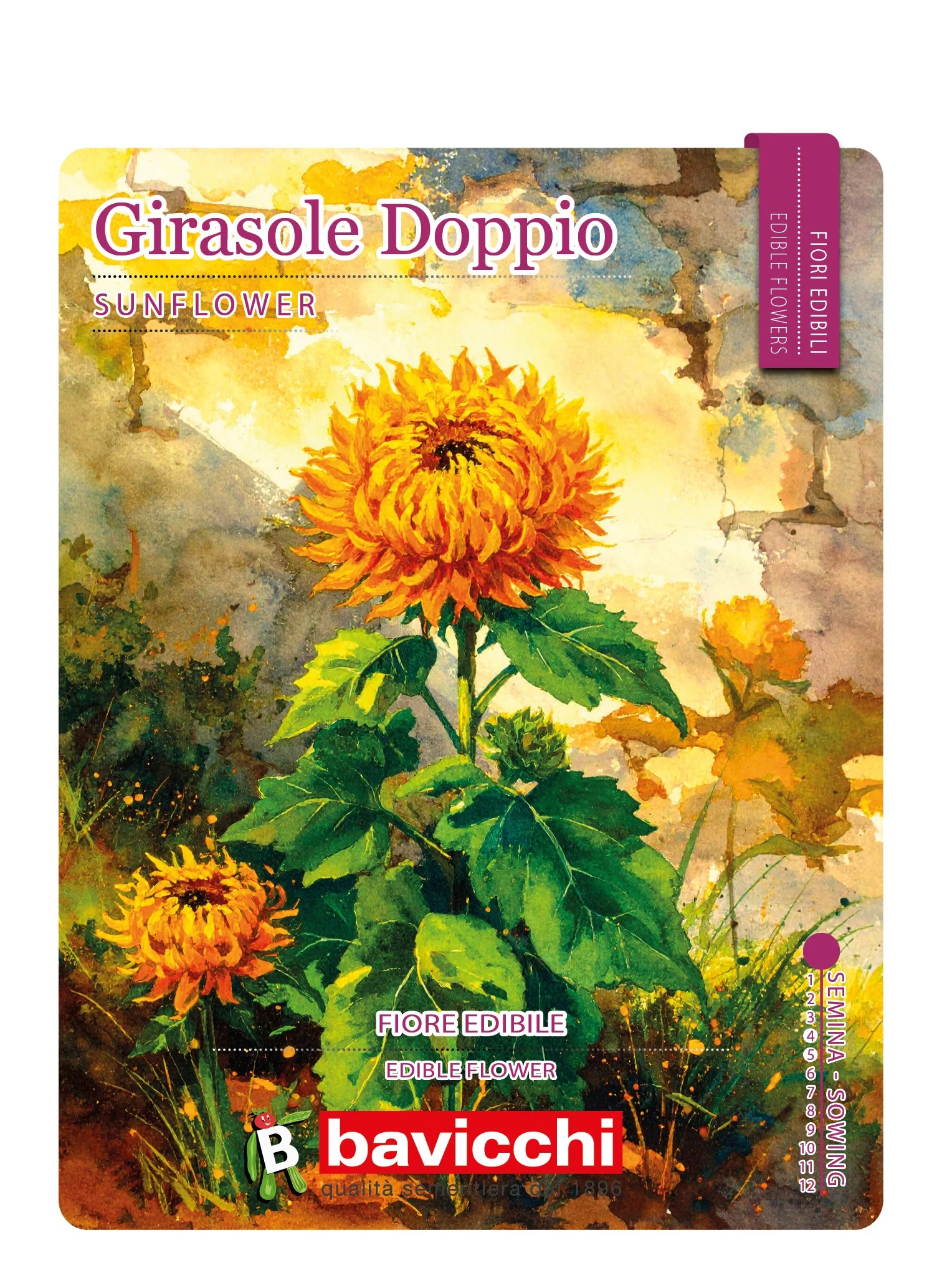 GIRASOLE DOPPIO - FGI0207E