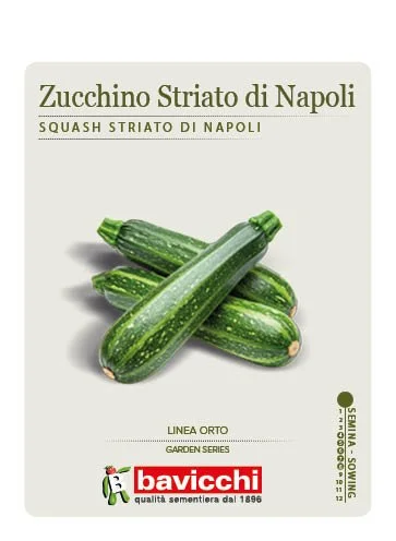 ZUCCHINO STRIATO DI NAPOLI - VZU0807