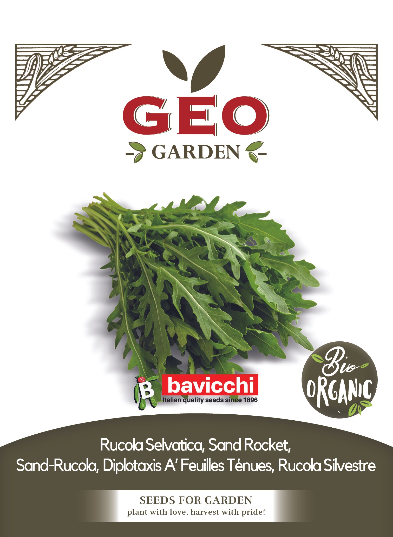 RUCOLA SELVATICA - ZRU0603