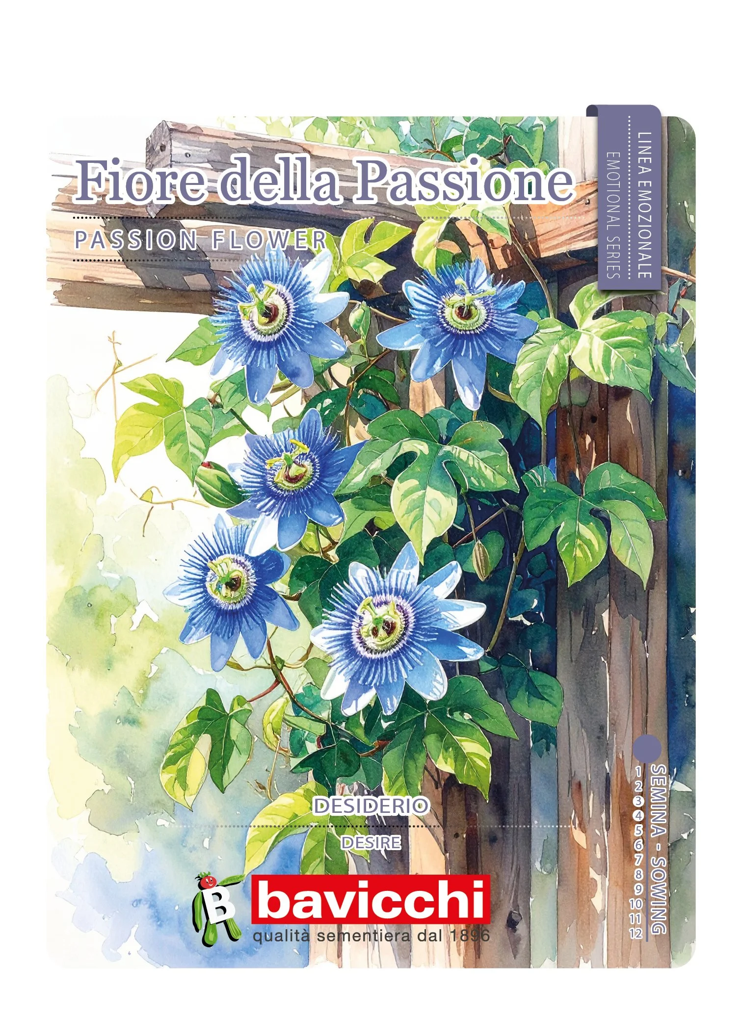 FIORE DELLA PASSIONE - FPS0107
