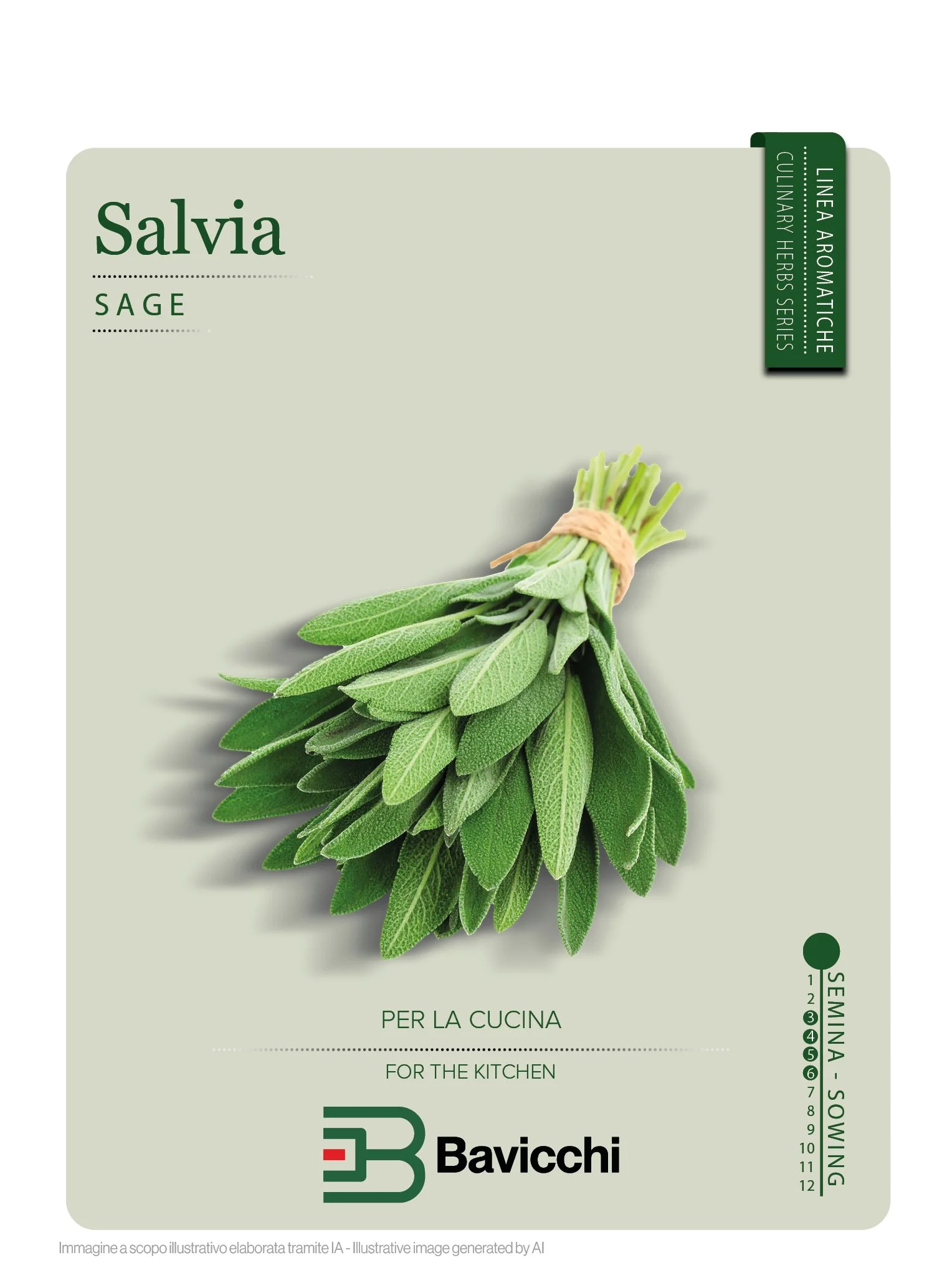SALVIA - ZXS1007