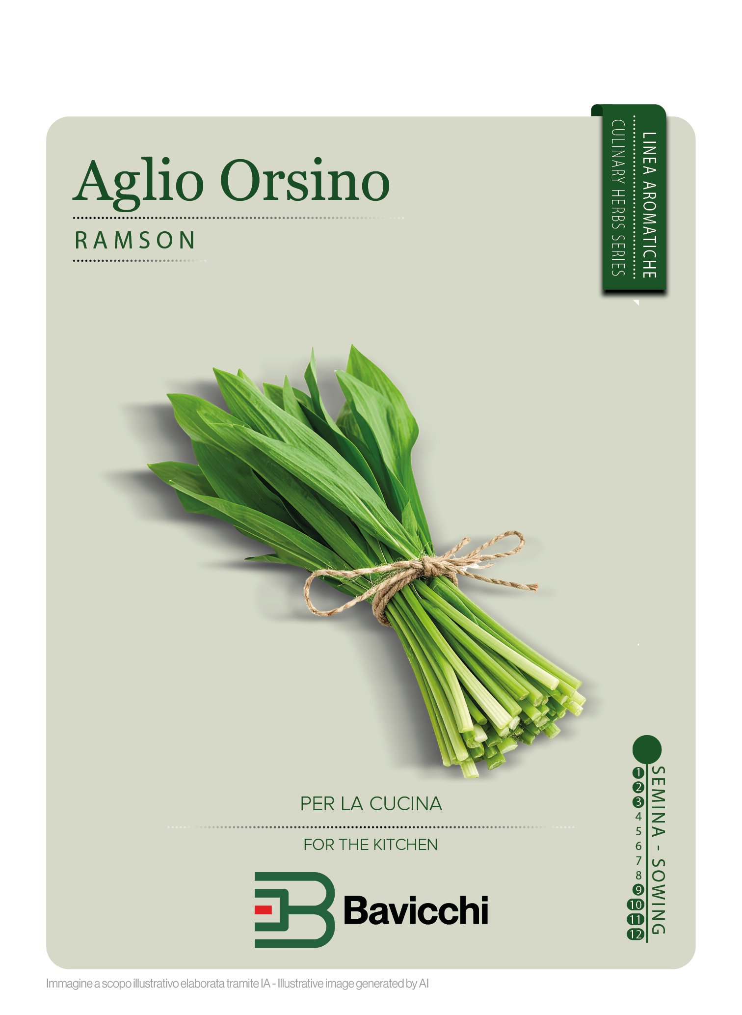 AGLIO ORSINO - ZXA3007