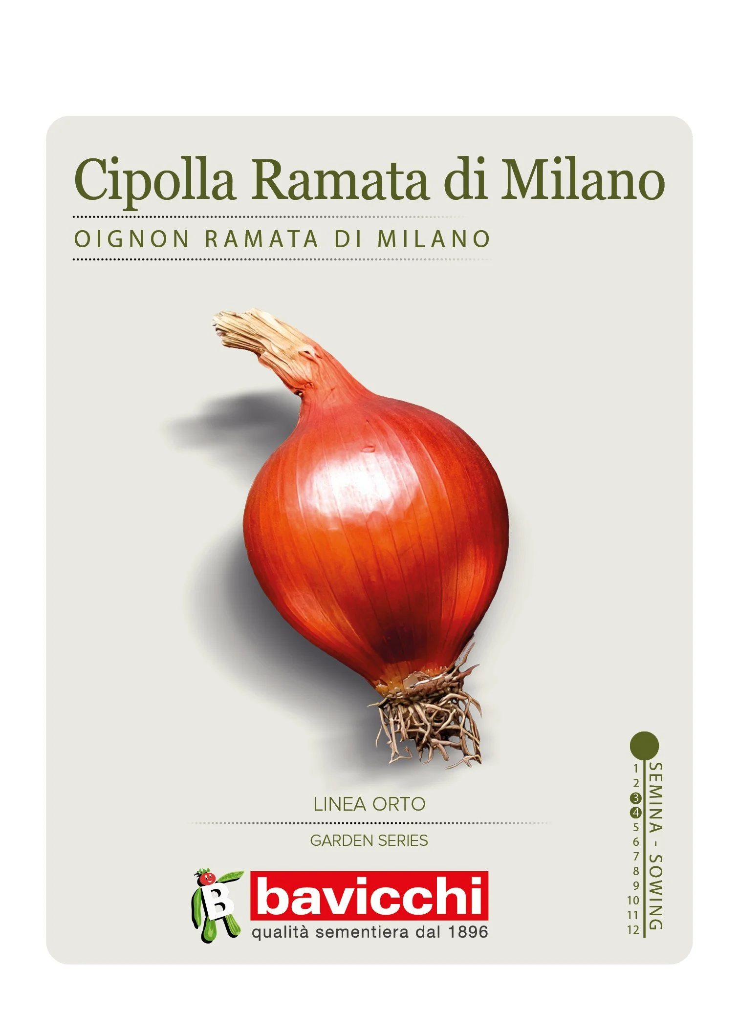 CIPOLLA RAMATA DI MILANO - VCL0707