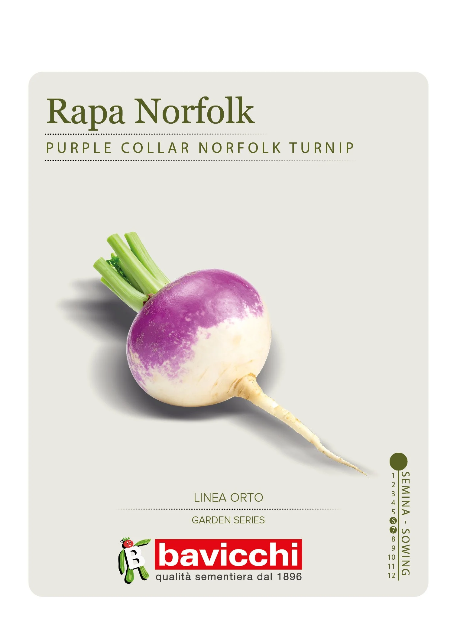 RAPA DI NORFOLK COLLETTO VIOLA - VRP0407
