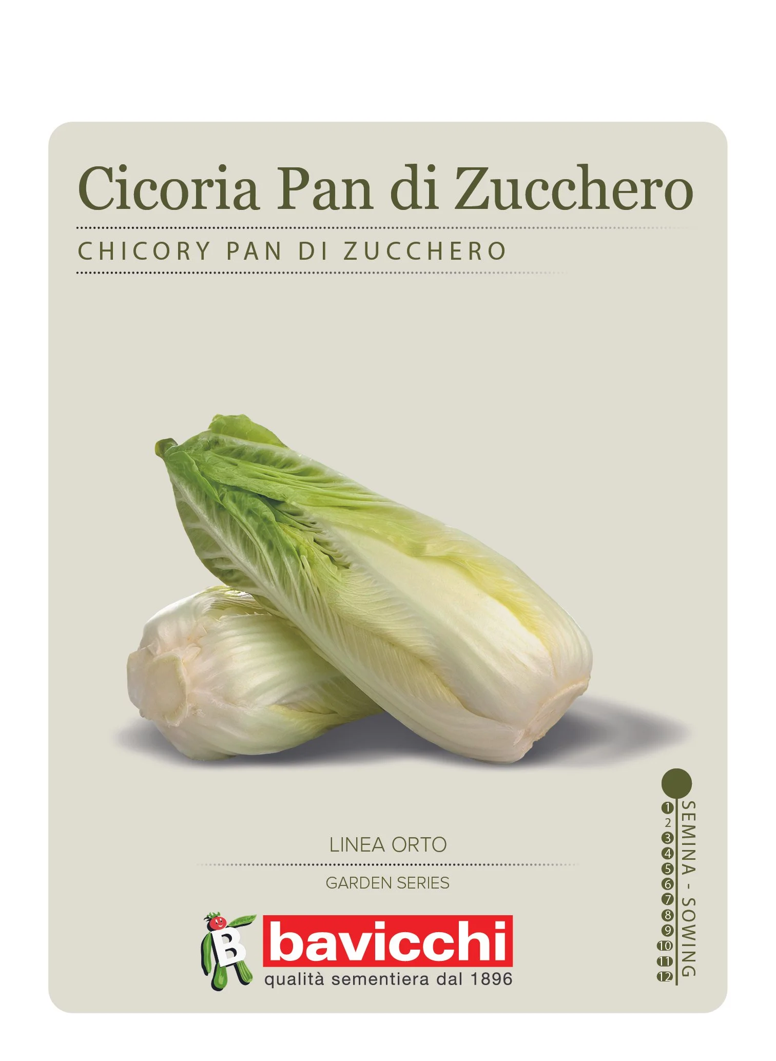 CICORIA PAN DI ZUCCHERO - VCI0807