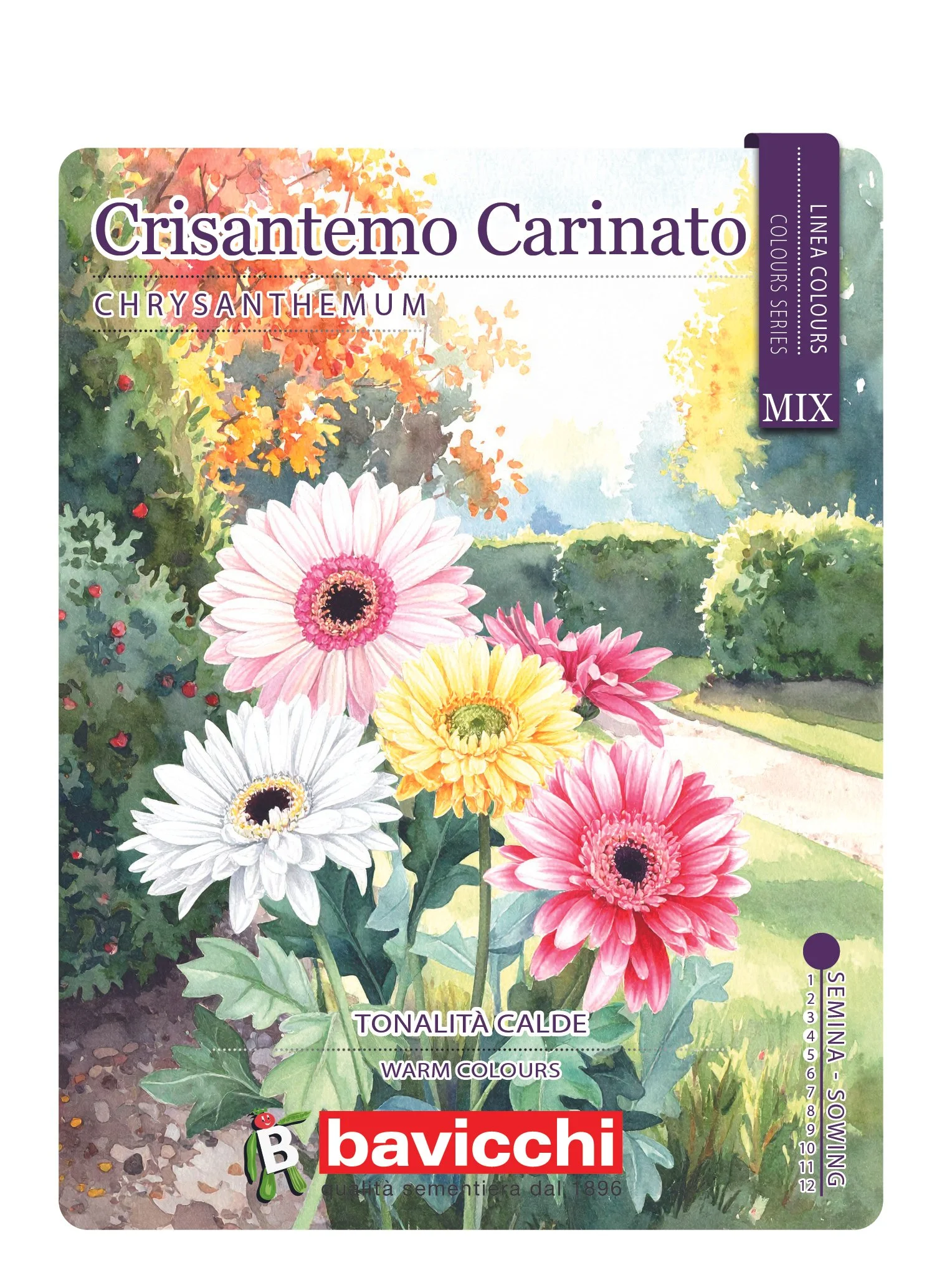 CRISANTEMO CARINATO MIX - FCR0107