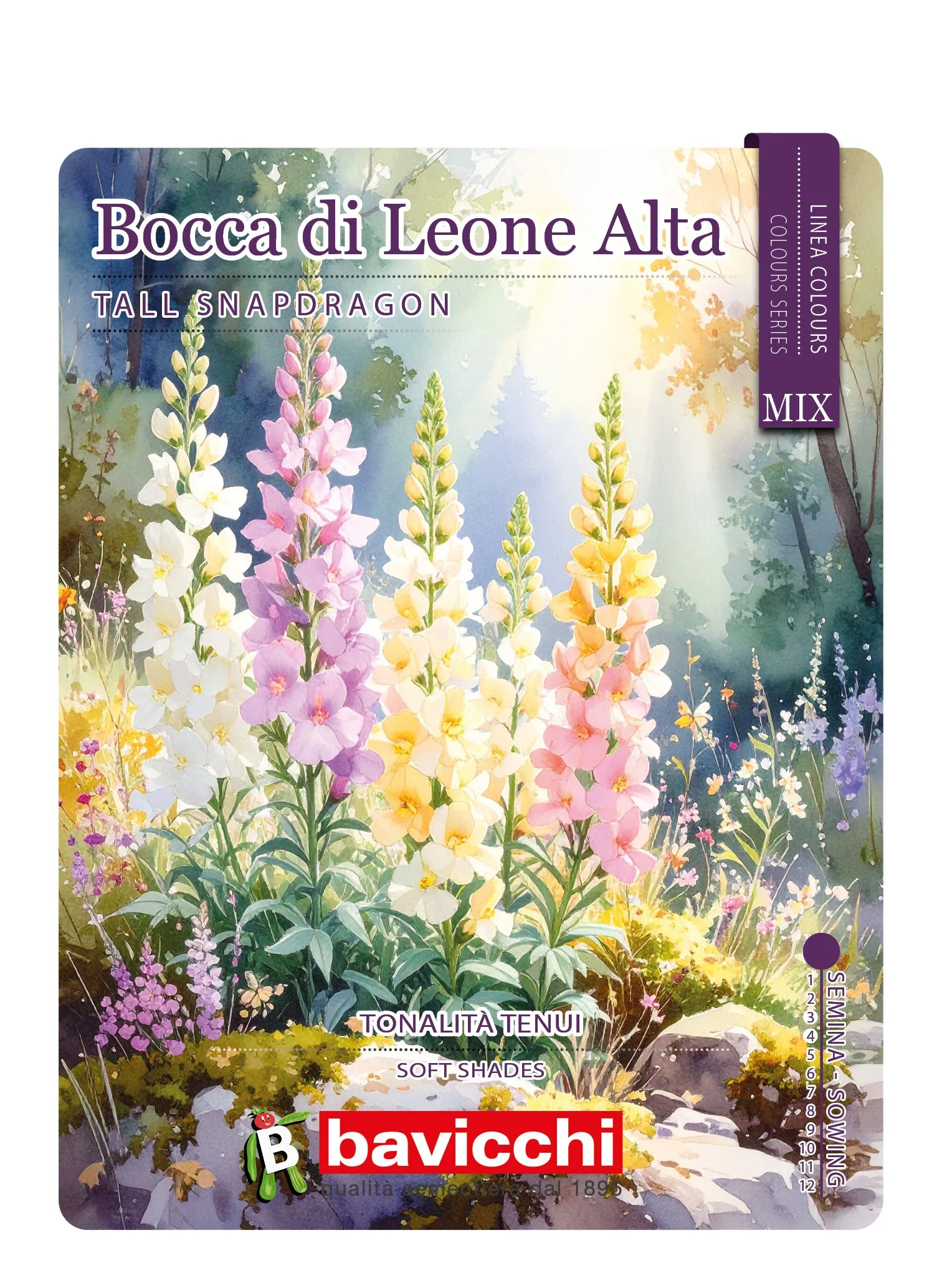 BOCCA DI LEONE ALTA MIX - FBC0107C