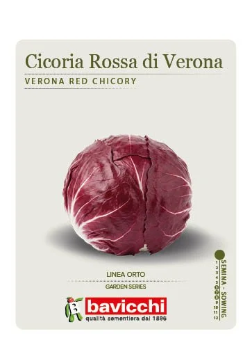 CICORIA ROSSA DI VERONA - VCI1007
