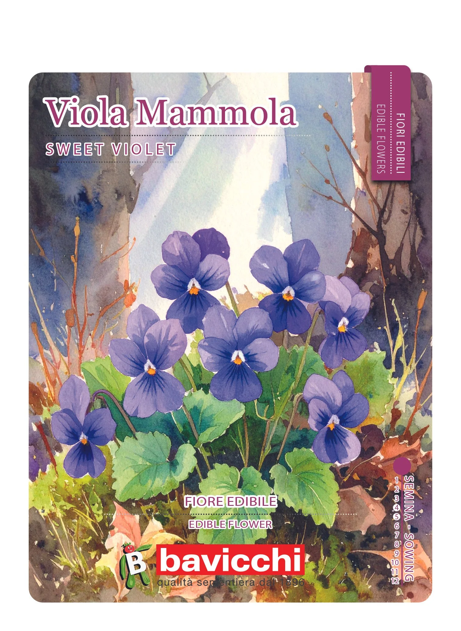 VIOLA MAMMOLA MIX - FVM0107E