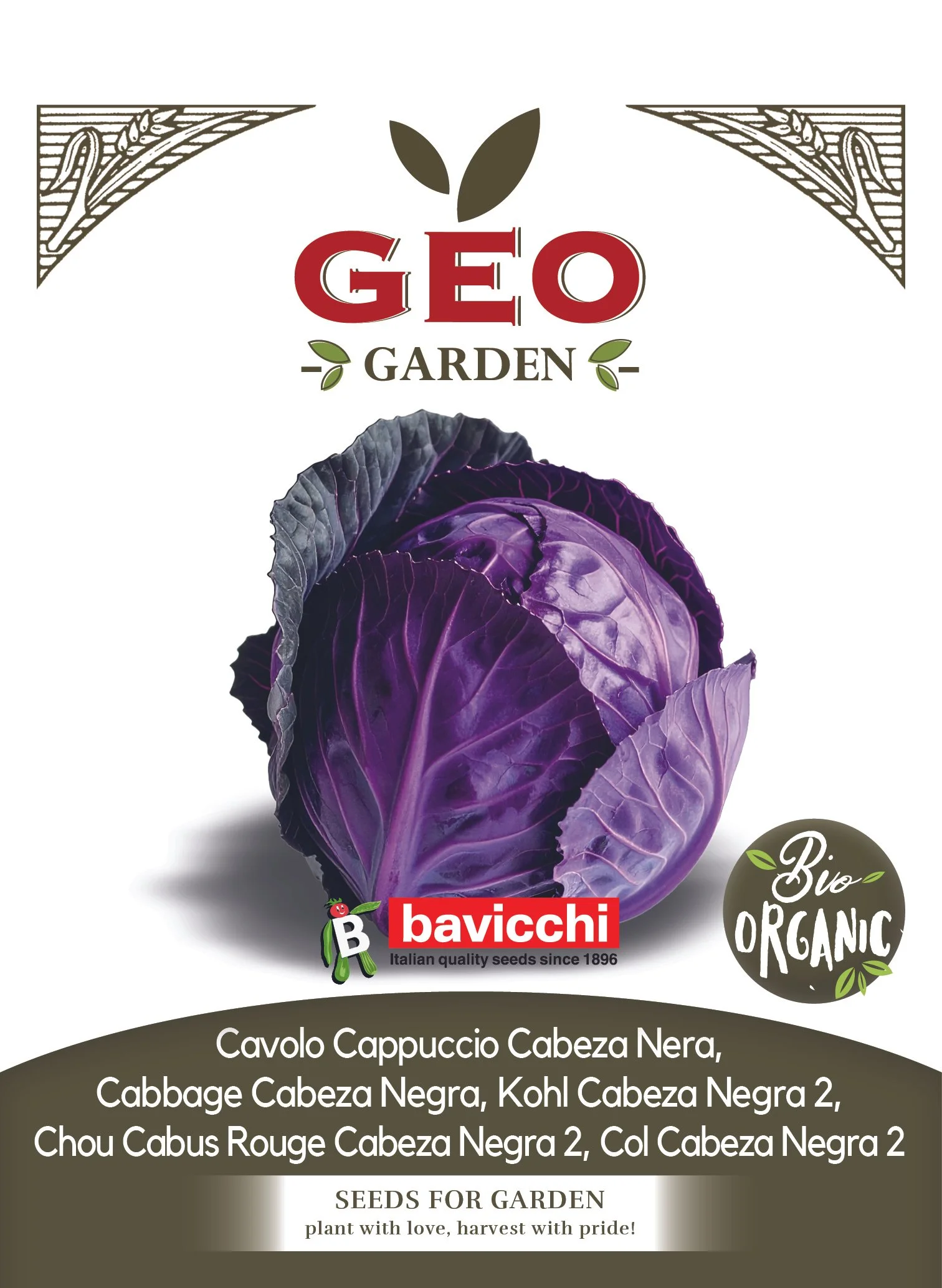 CAVOLO CAPPUCCIO CABEZA NERA - VCC1203
