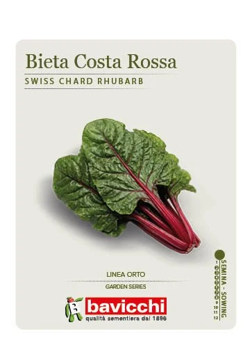 BIETOLA RHUBARB CHARD - VBI1207