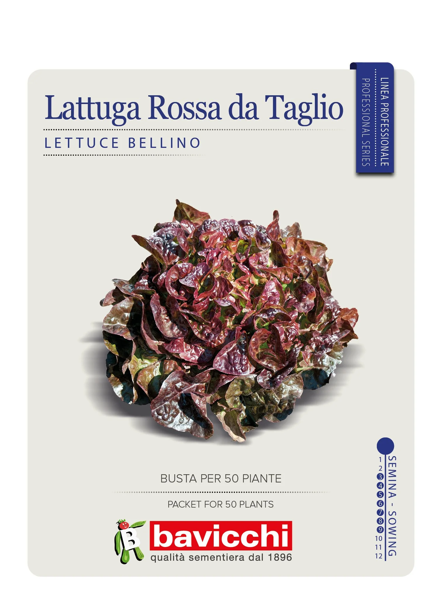 LATTUGA BELLINO - VLA5207