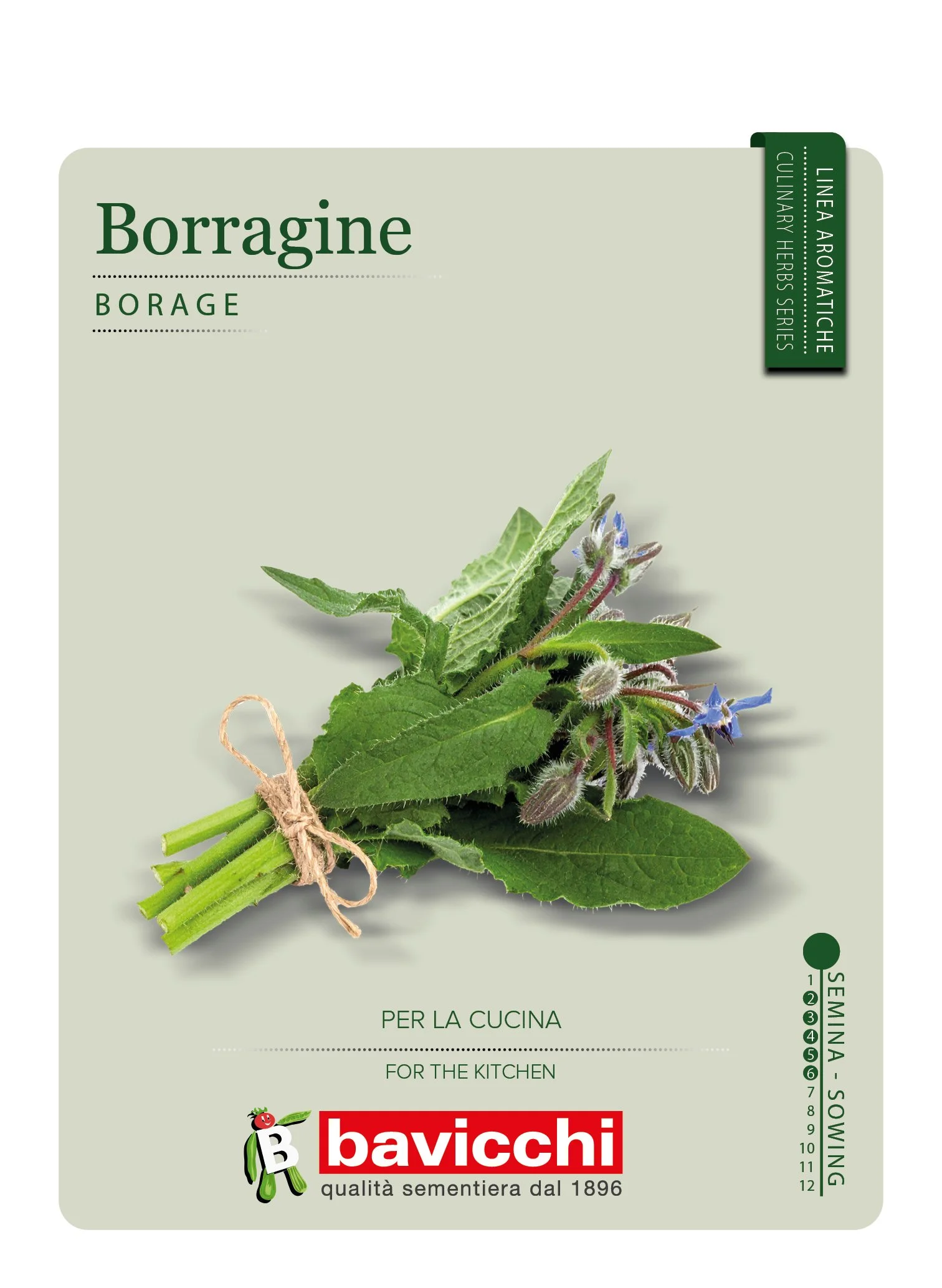 BORRAGINE - ZXB1007