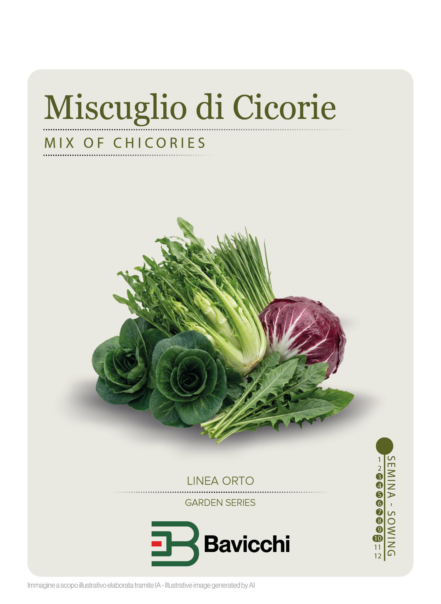 MISCUGLIO DI CICORIE DA TAGLIO - ZMI0207