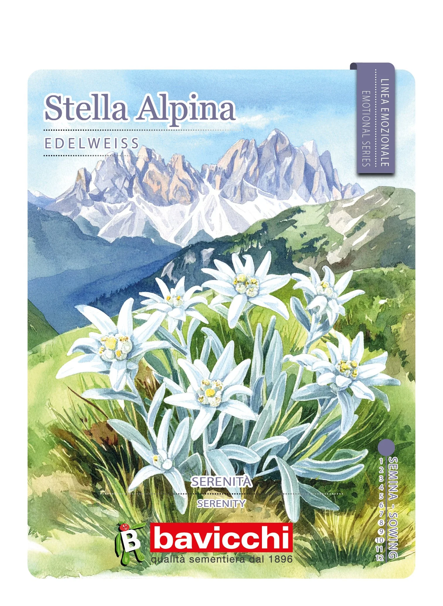 STELLA ALPINA - FSL0107