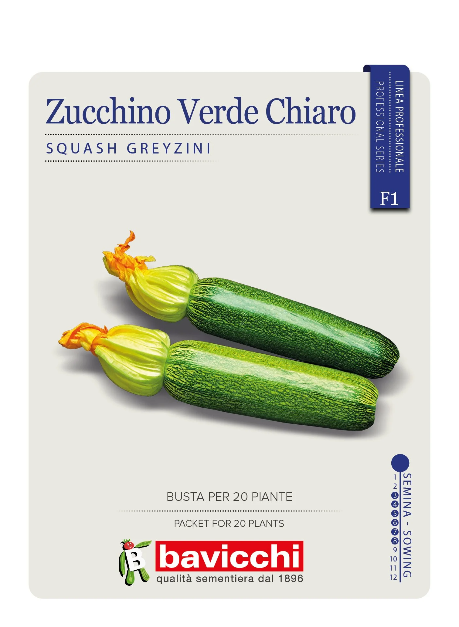 ZUCCHINO GREYZINI F1 - VZU2807