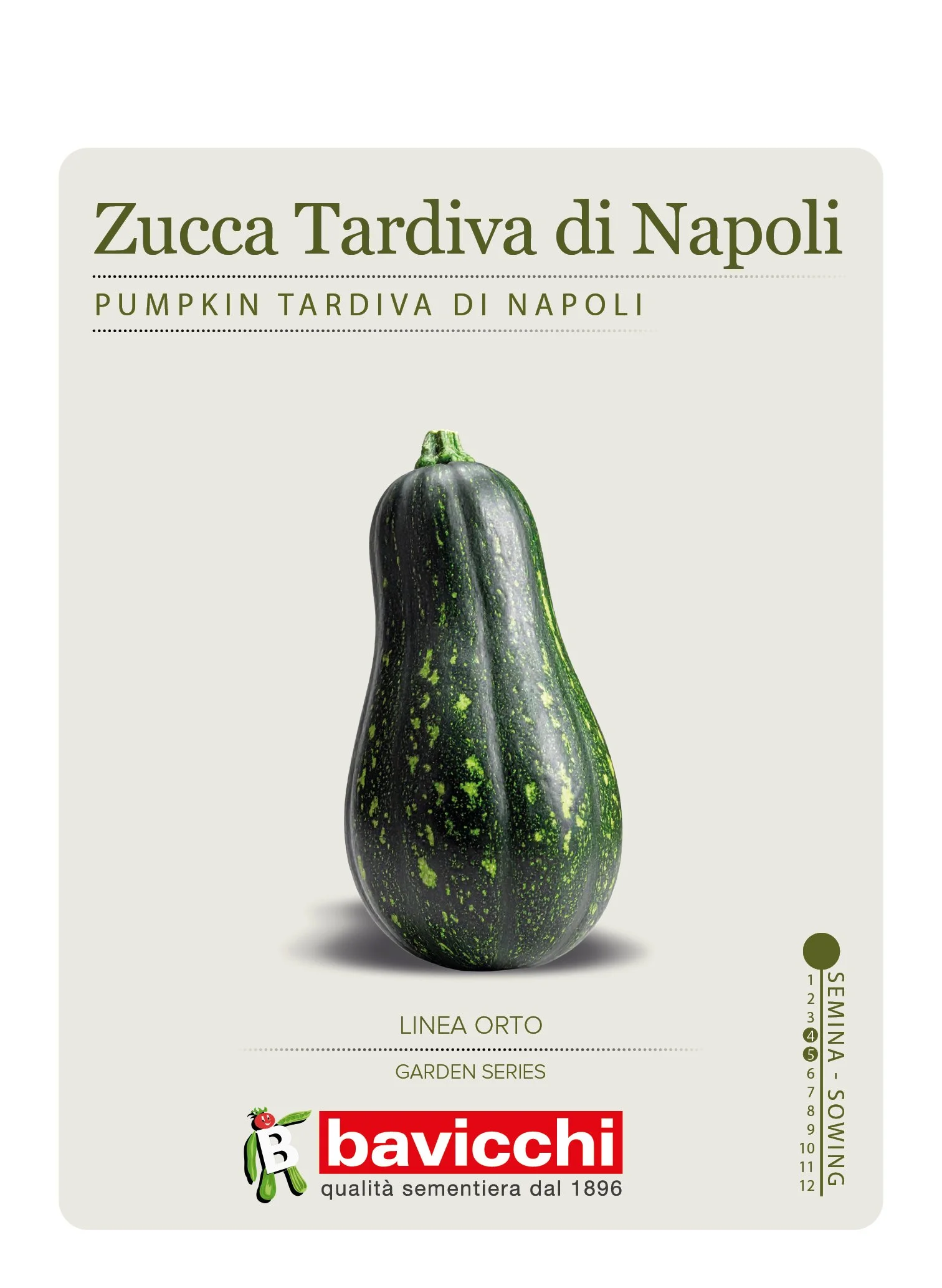 ZUCCA TARDIVA DI NAPOLI - ZZU0207