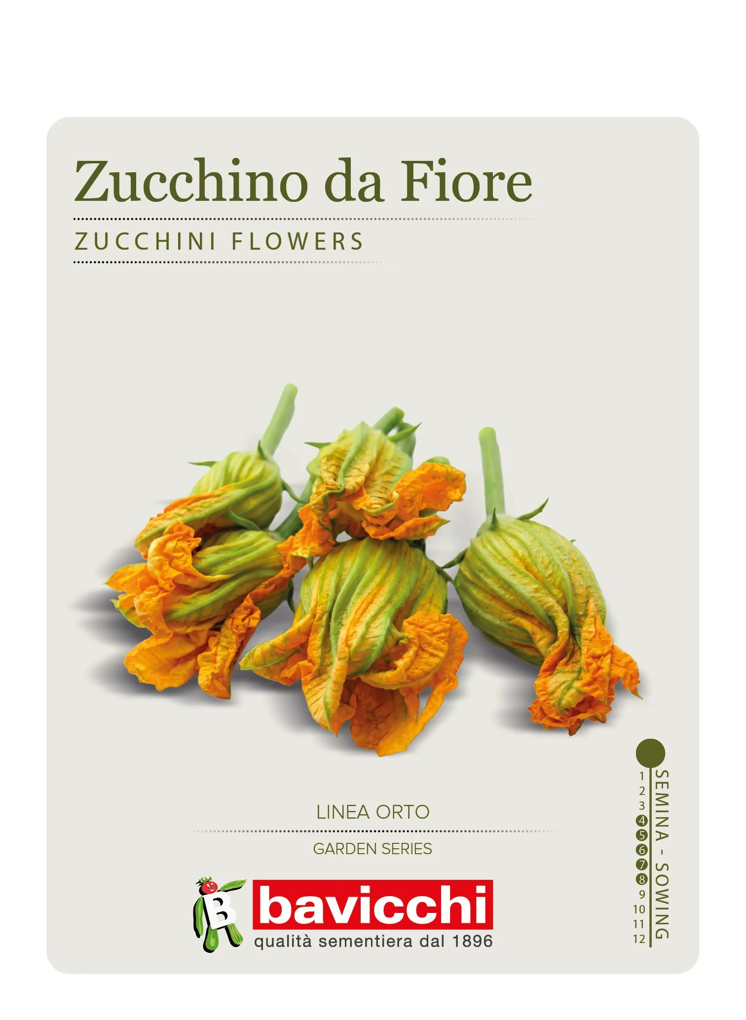 ZUCCHINO ALBERELLO - VZU2607