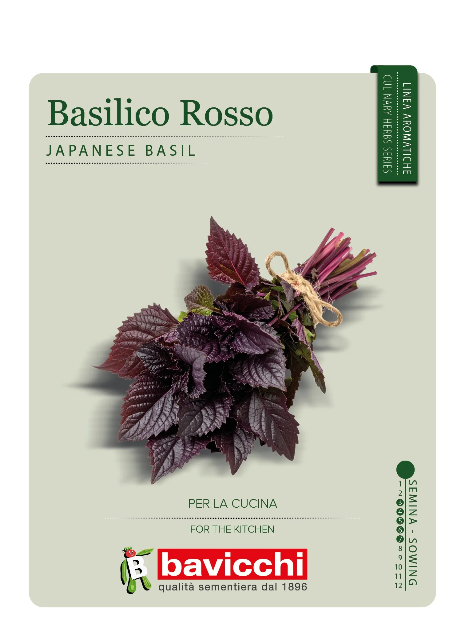 BASILICO GIAPPONESE - ZXB2007