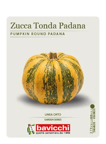 ZUCCA TONDA PADANA - ZZU0307