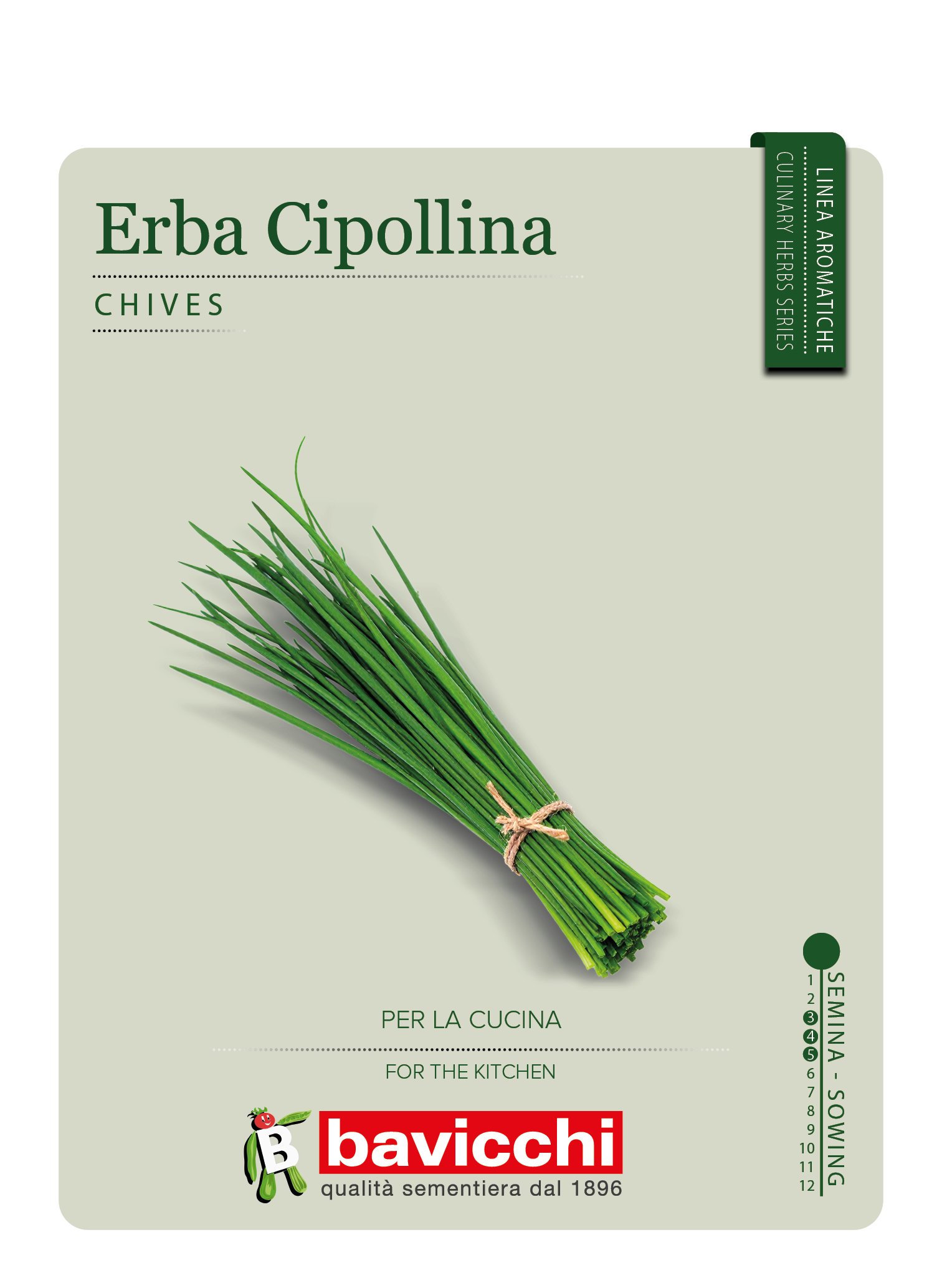 ERBA CIPOLLINA - ZXE1007
