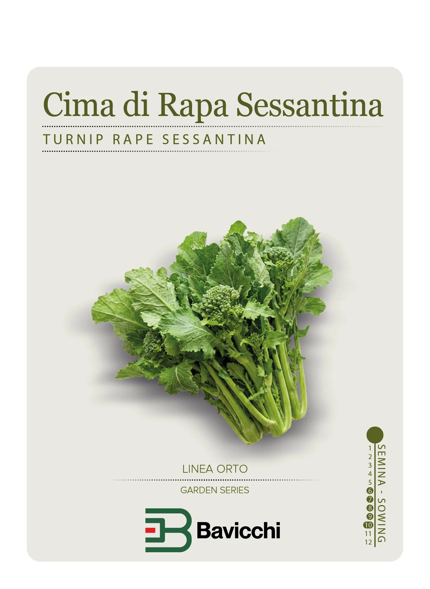 RAPA BROCCOLETTI O CIMA DI RAPA SESSANTINA- ZRP0407