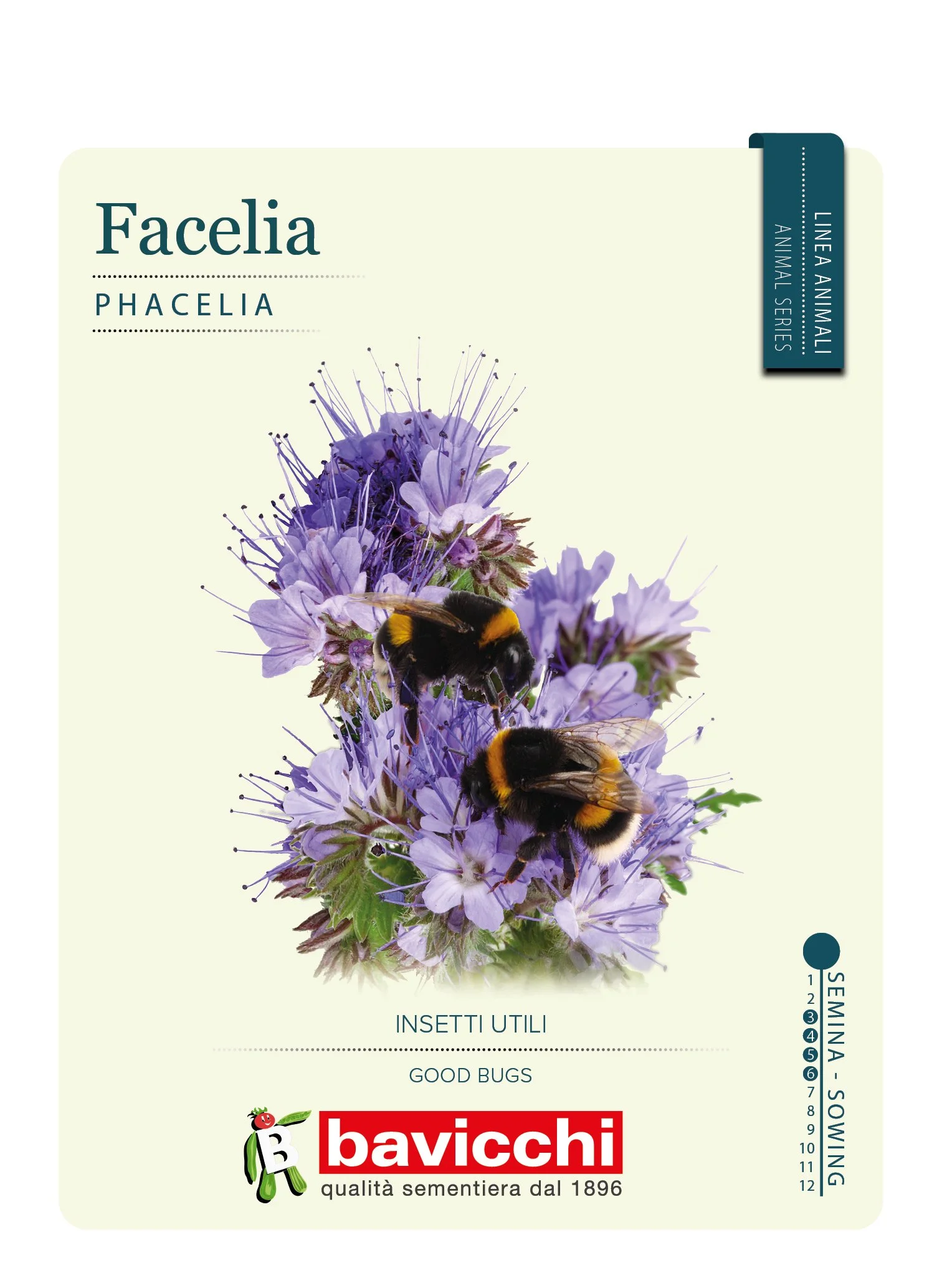 FACELIA - GMF3607