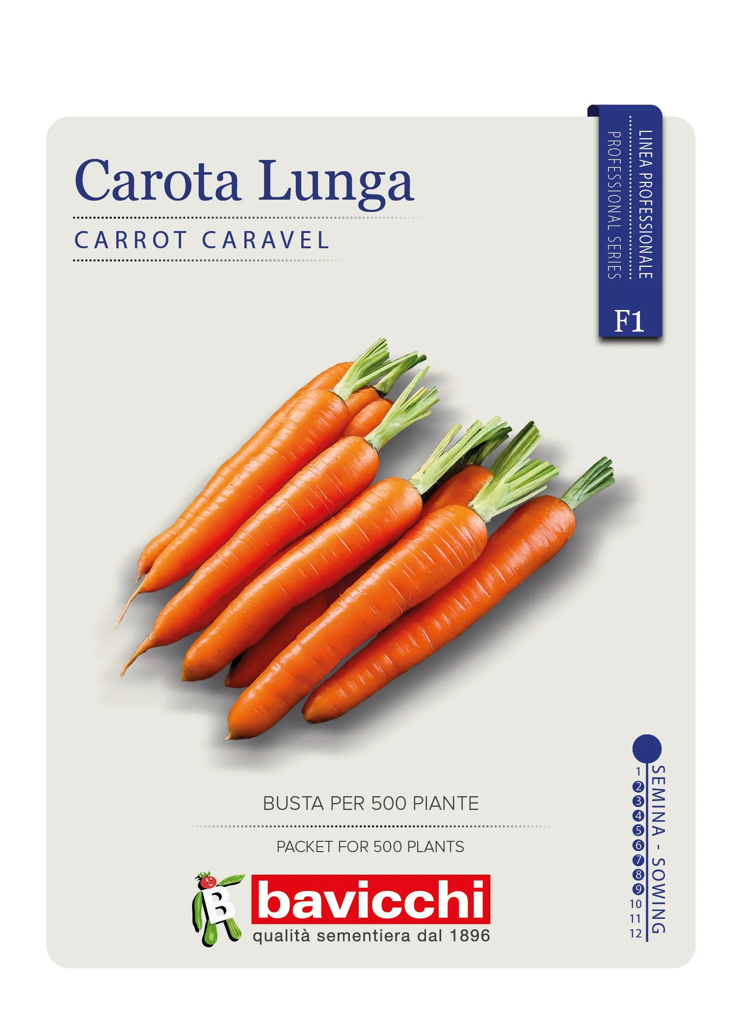 CAROTA CARAVEL F1 - VCA1507