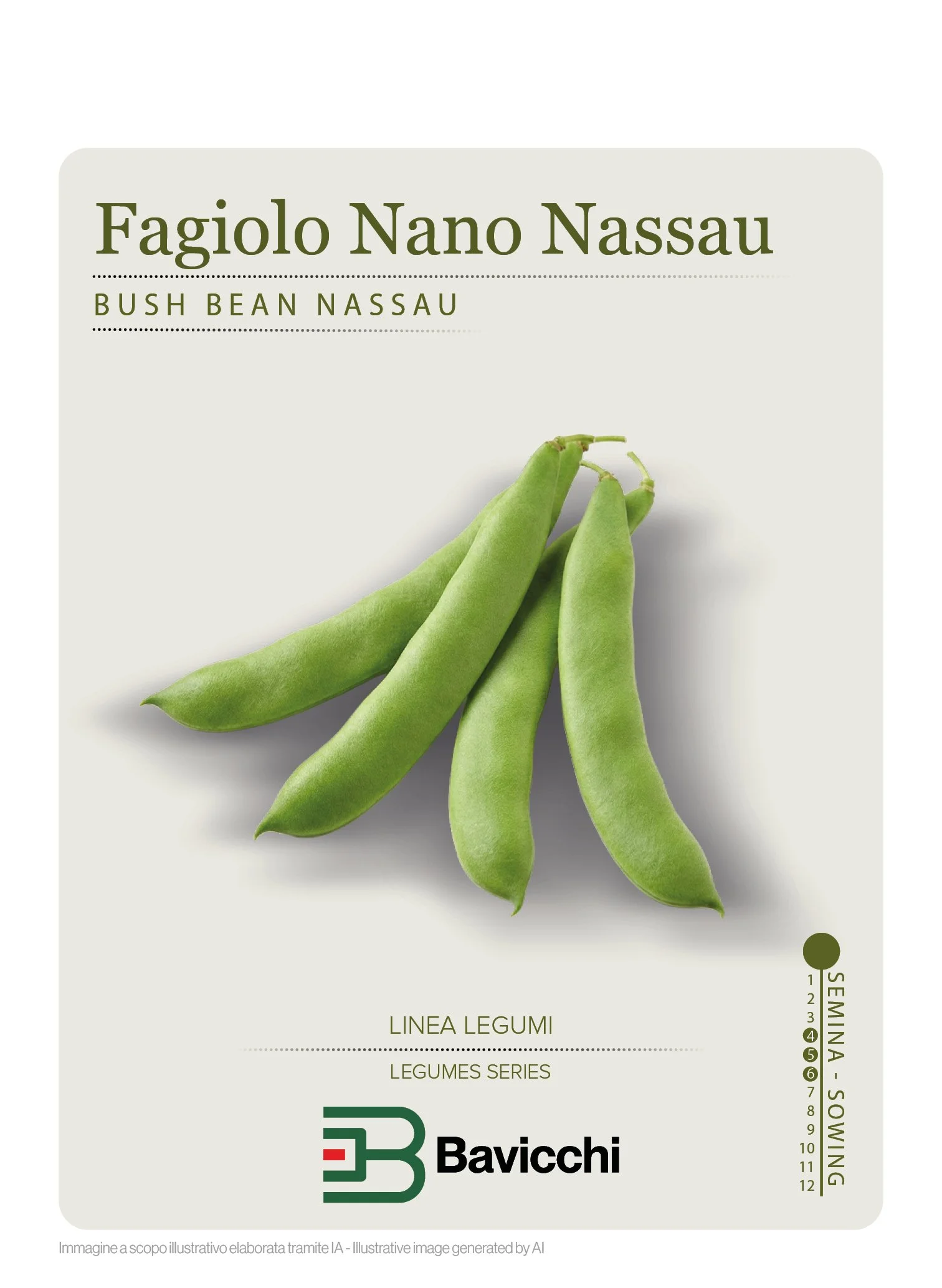 FAGIOLO NASSAU - VFN3907