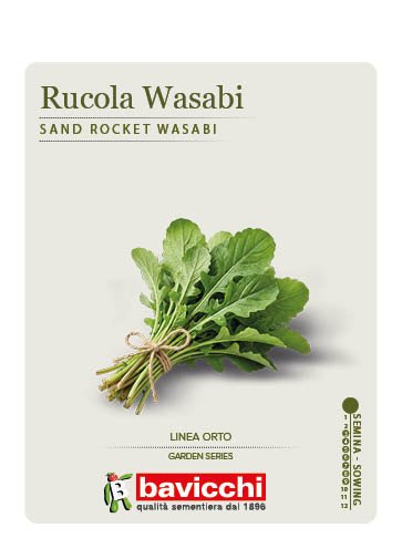 RUCOLA WASABI - ZRU0807