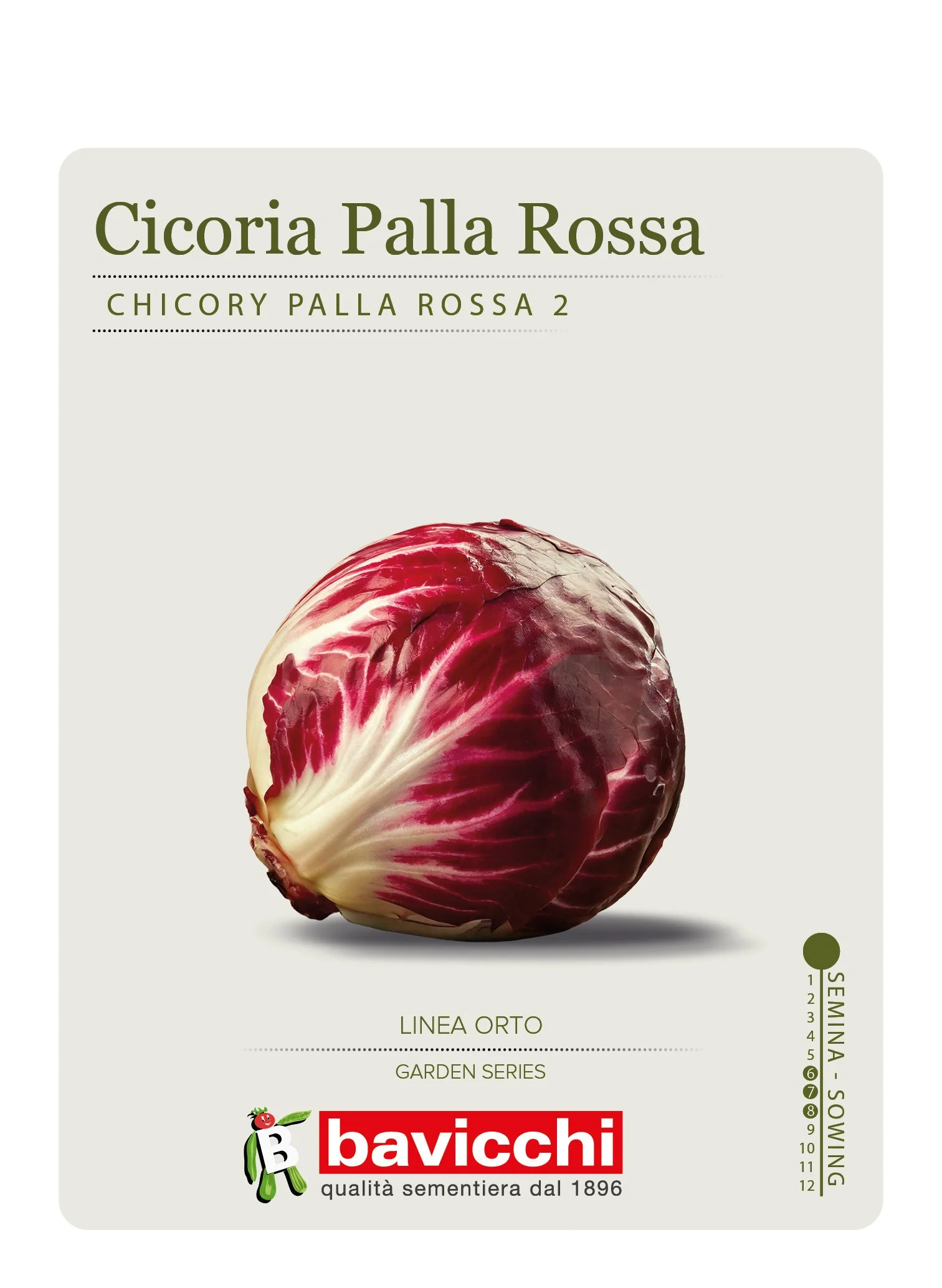 CICORIA PALLA ROSSA - VCI1507
