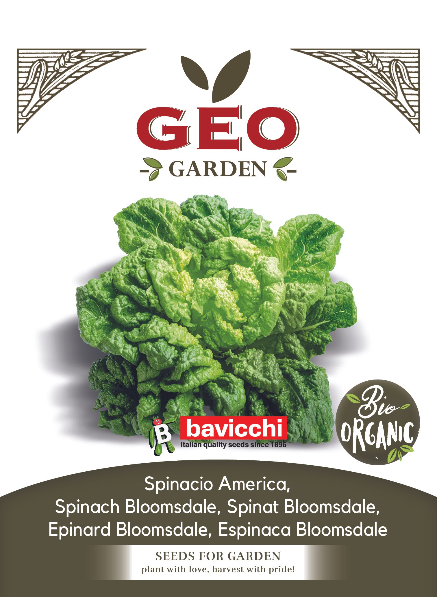 SPINACIO AMERICA - VSP0903