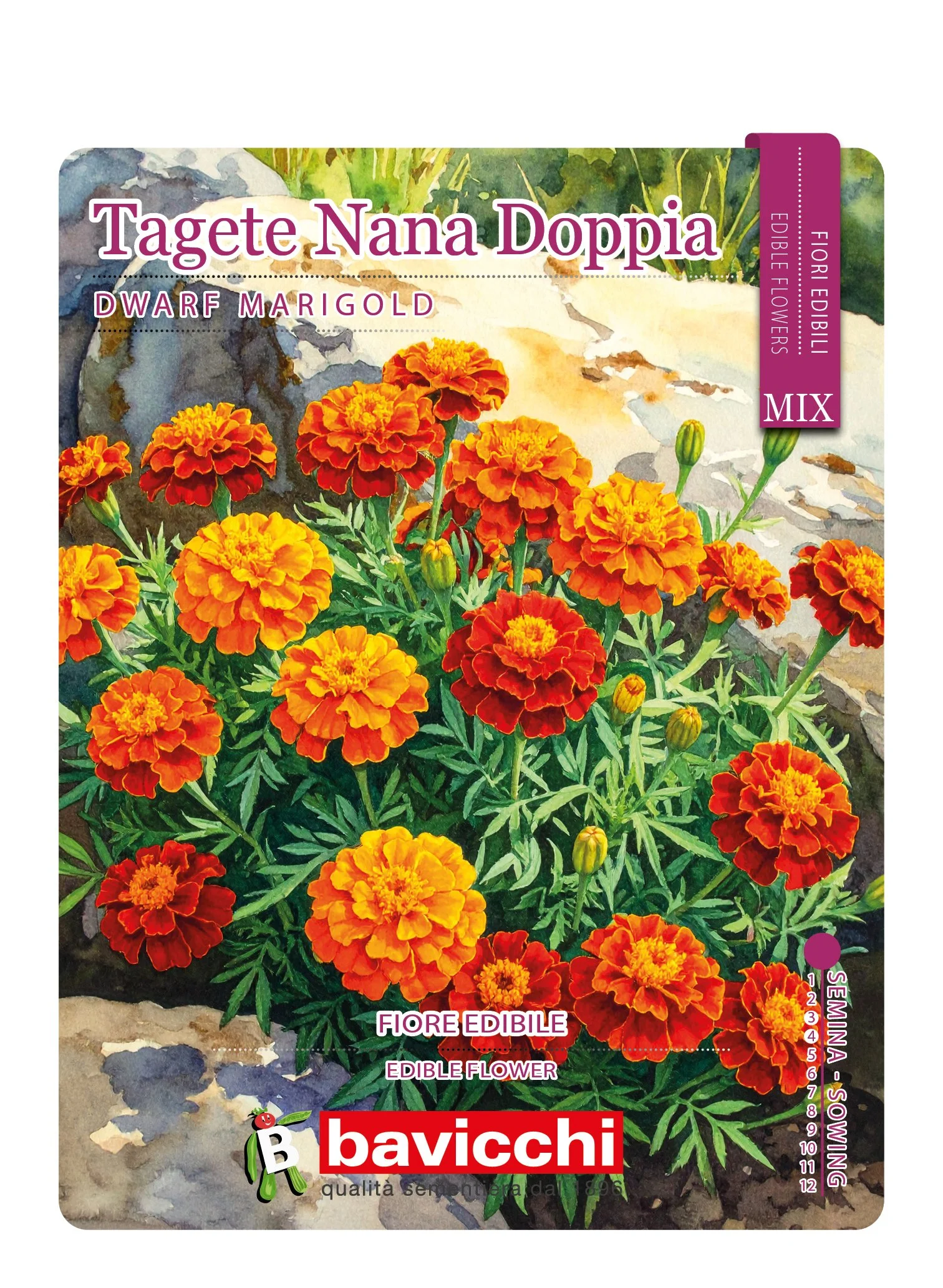 TAGETE NANA DOPPIA MIX - FTA0307E