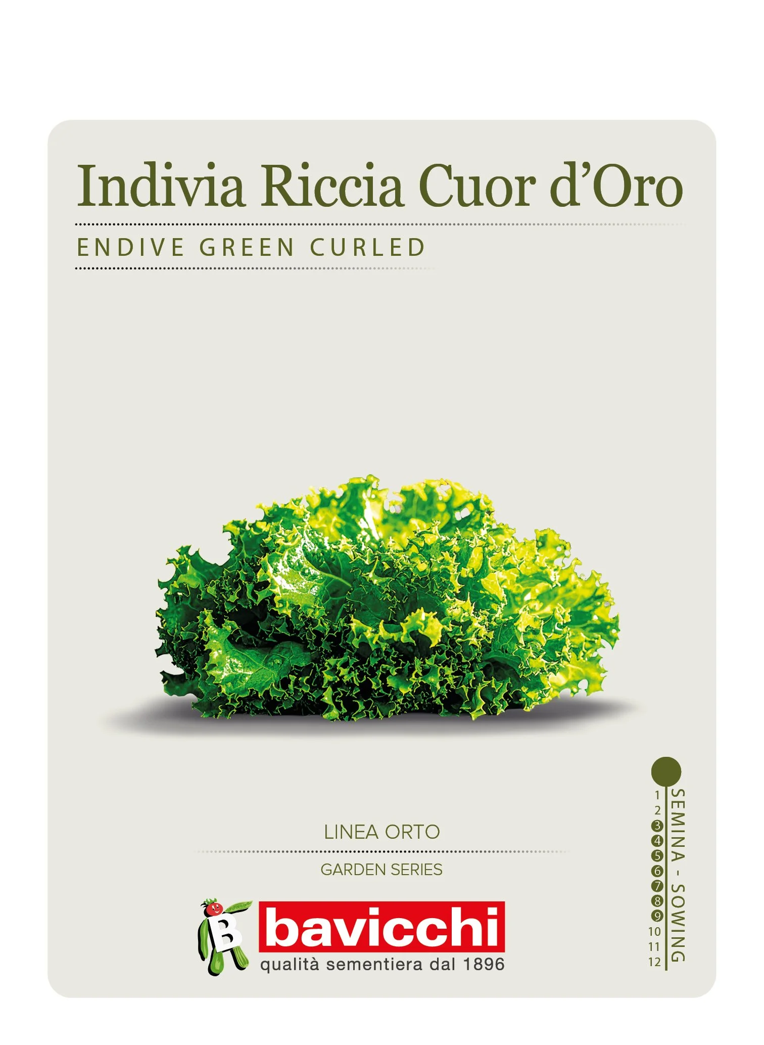 INDIVIA RICCIA CUOR D'ORO - VEN0107
