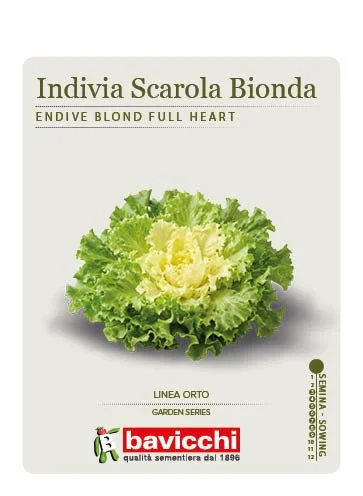 INDIVIA SCAROLA BIONDA A CUORE PIENO - VEN0907