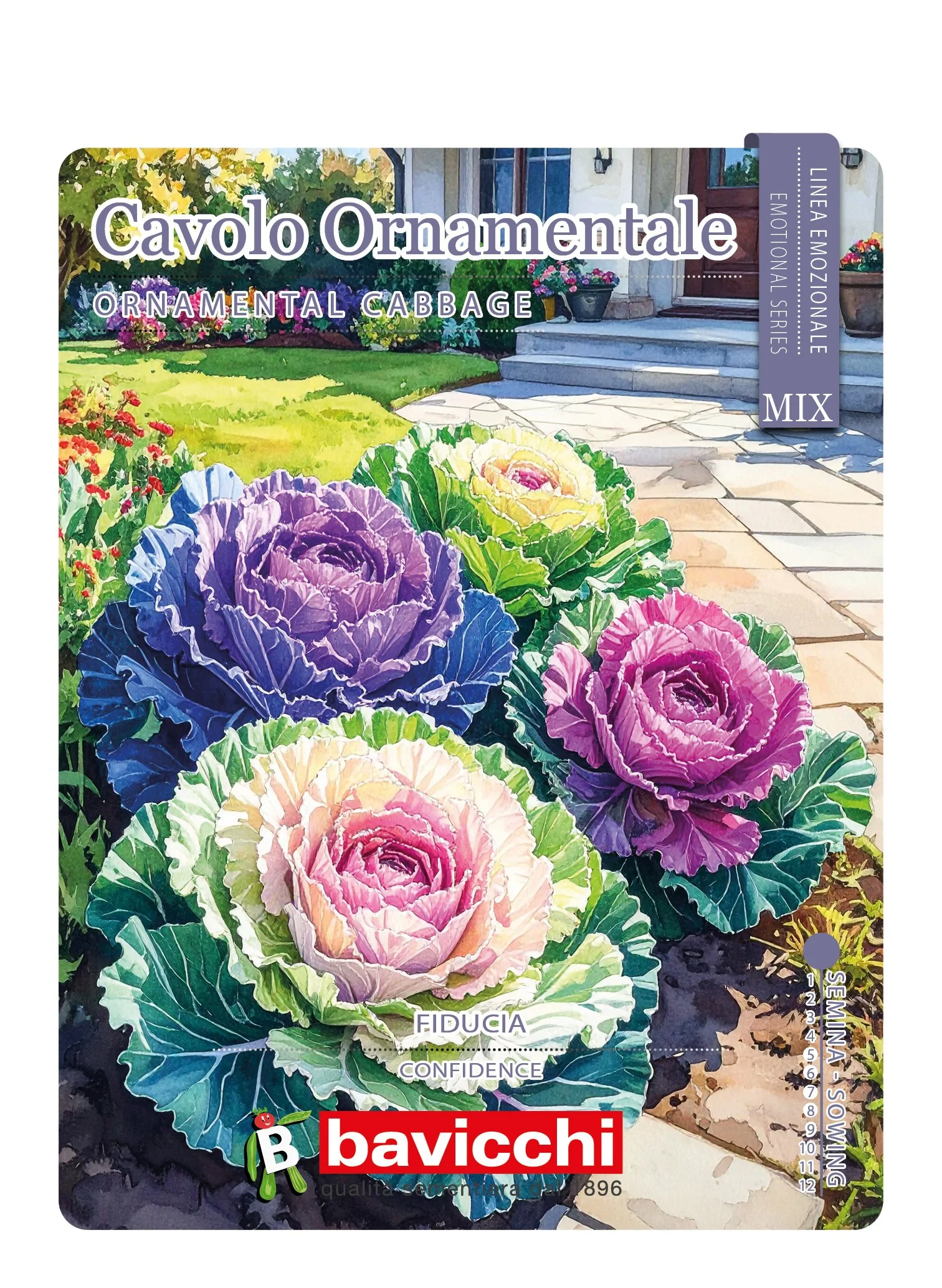 CAVOLO ORNAMENTALE MIX - FCV0107