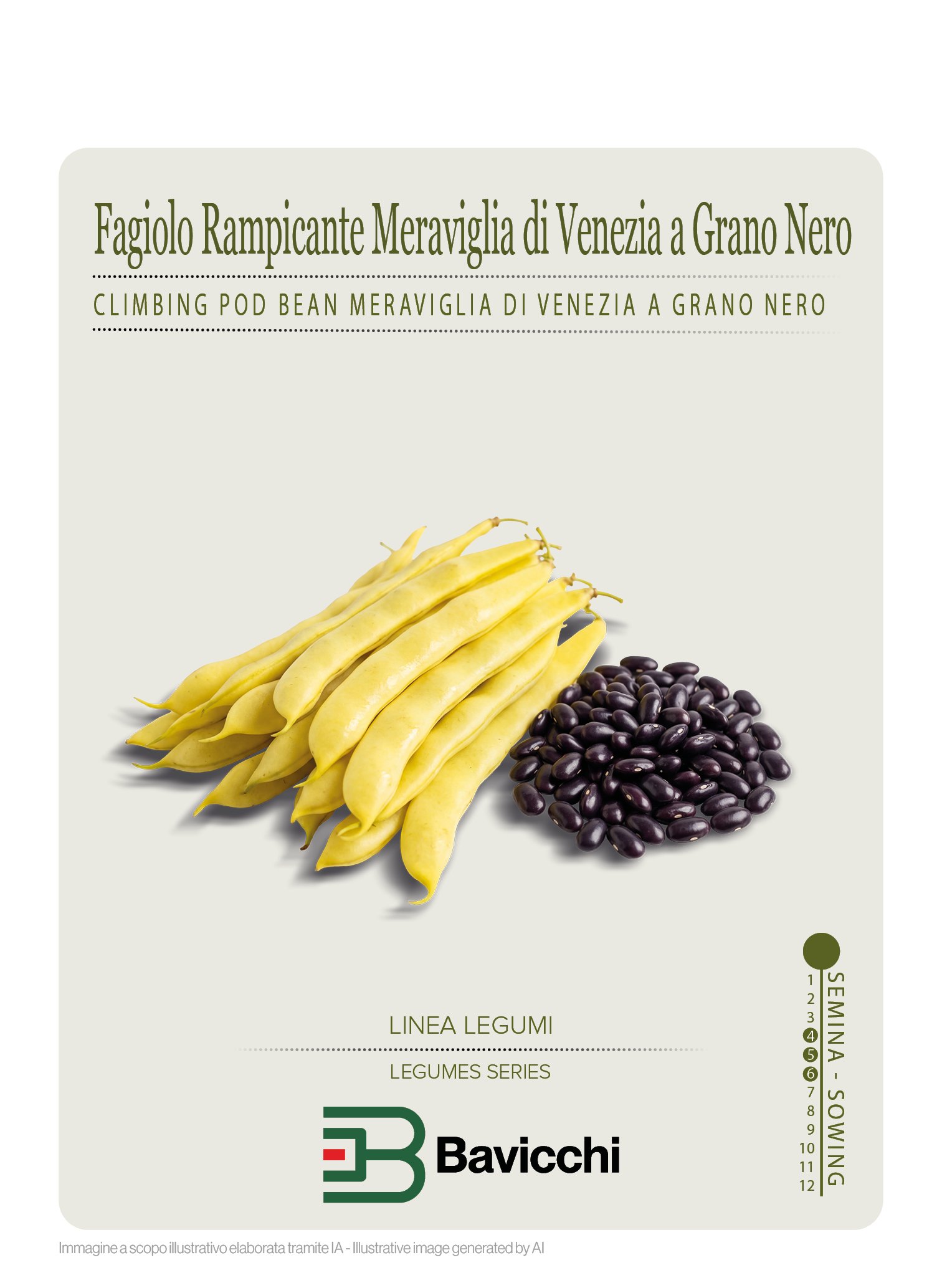 FAGIOLO MERAVIGLIA DI VENEZIA A GRANO NERO - VFR0907