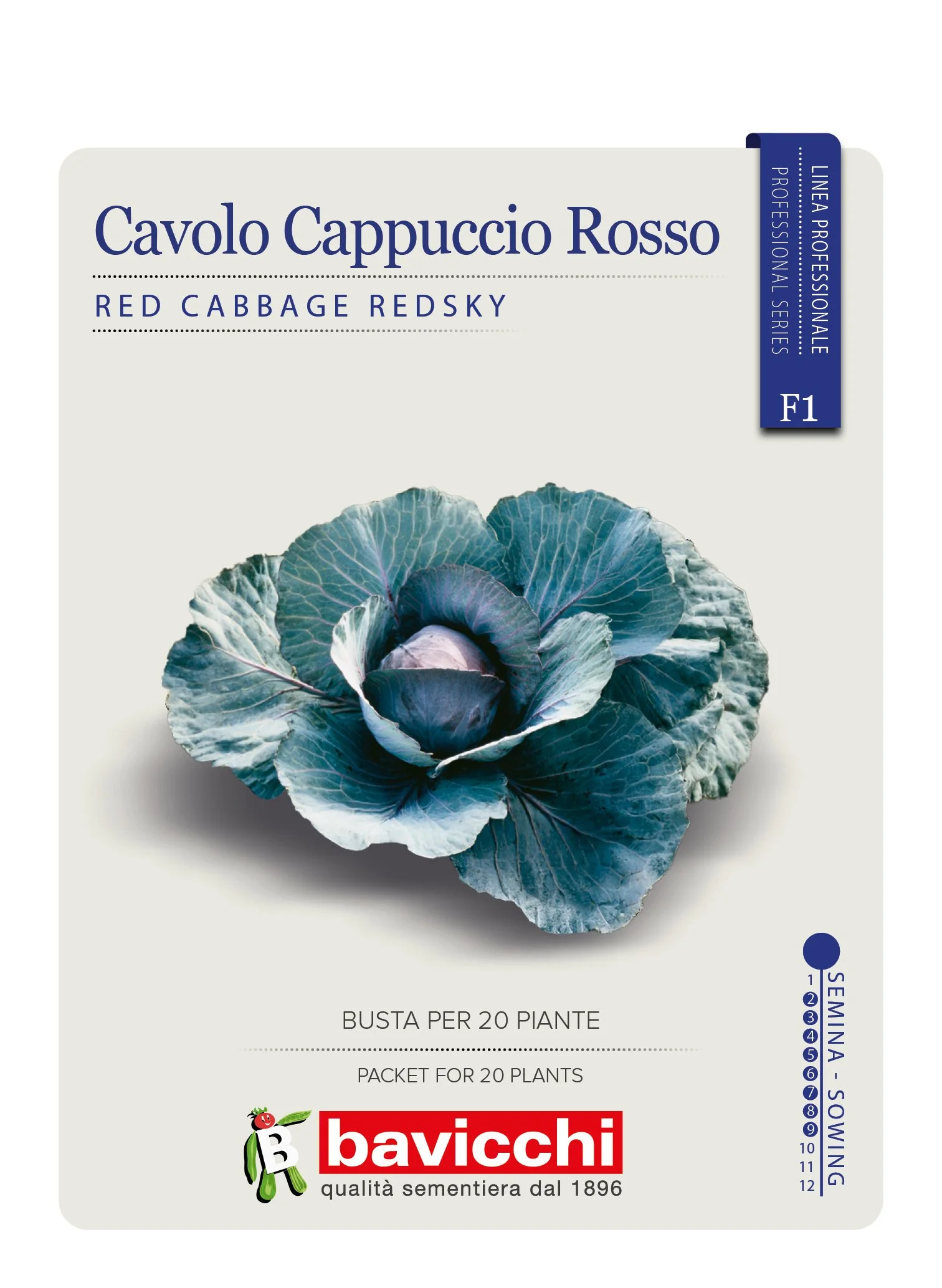 CAVOLO CAPPUCCIO REDSKY F1 - VCC1507