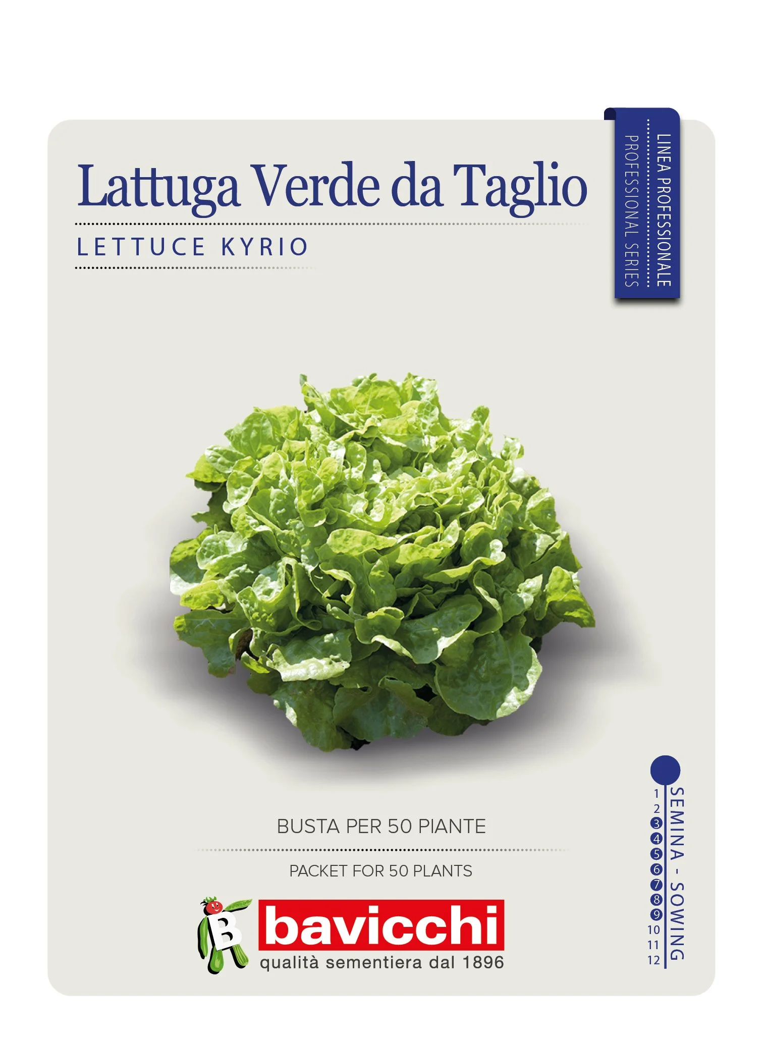 LATTUGA KYRIO - VLA5407