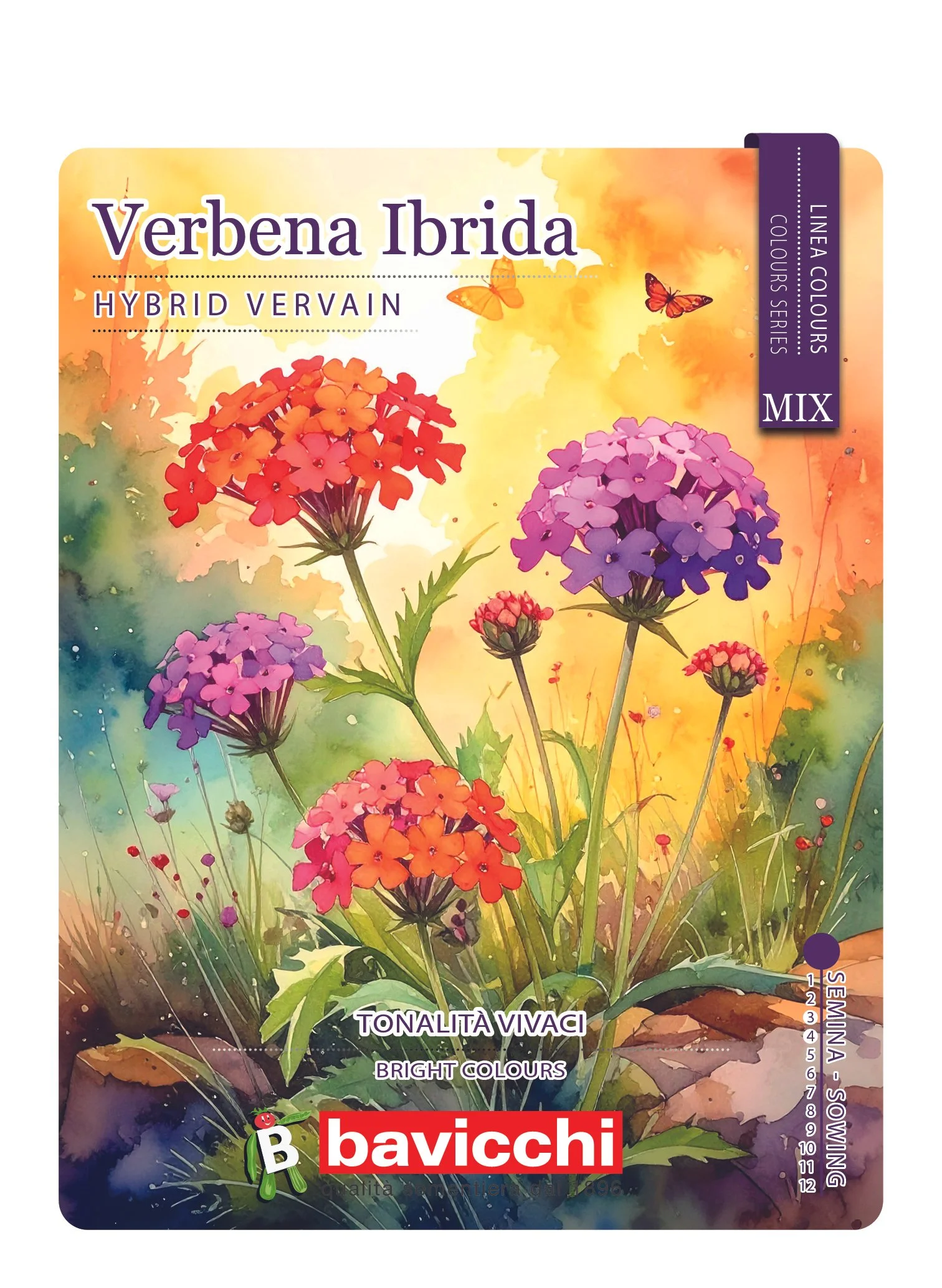 VERBENA IBRIDA MIX - FVE0107