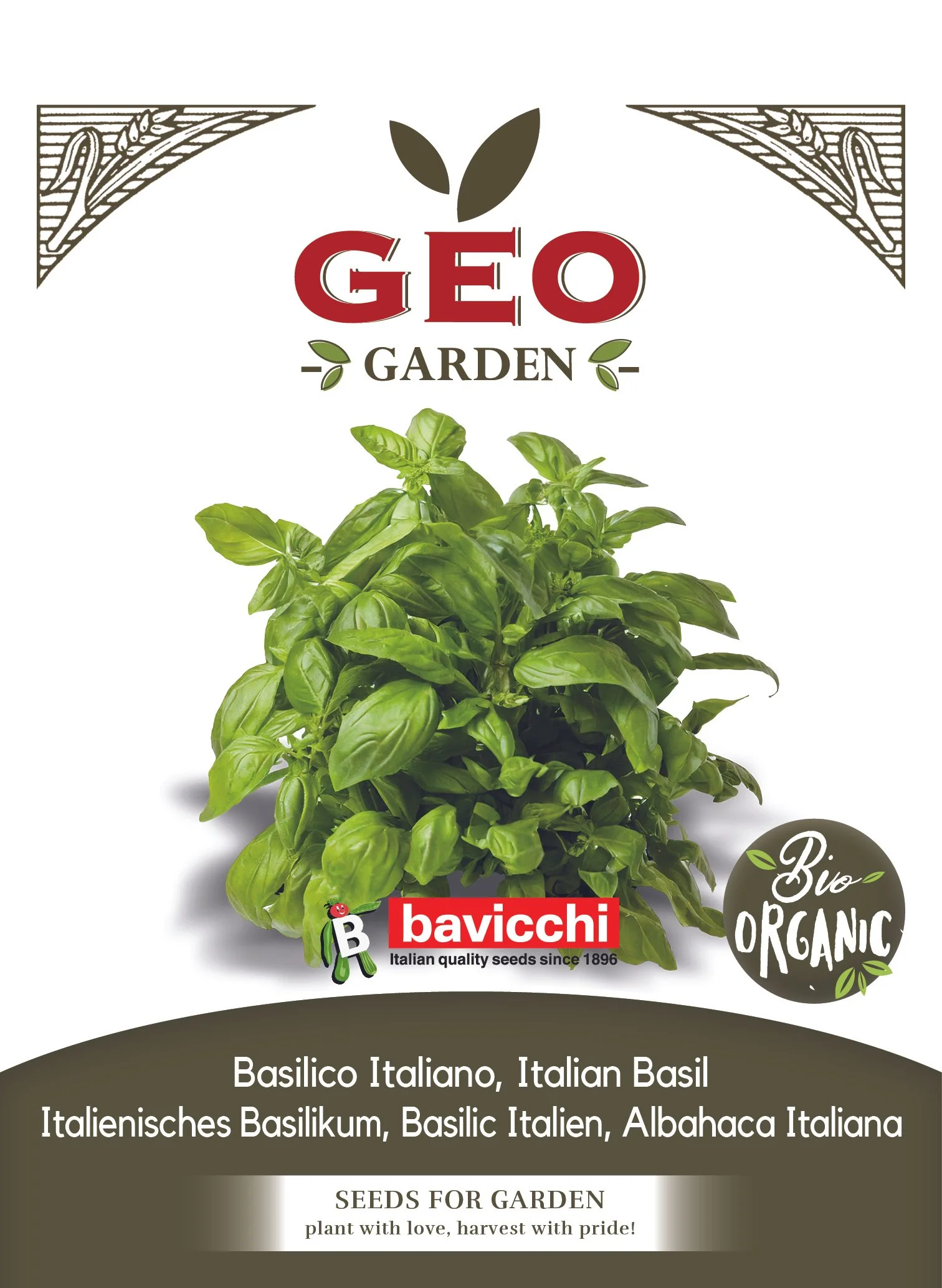 BASILICO ITALIANO - ZBS0803