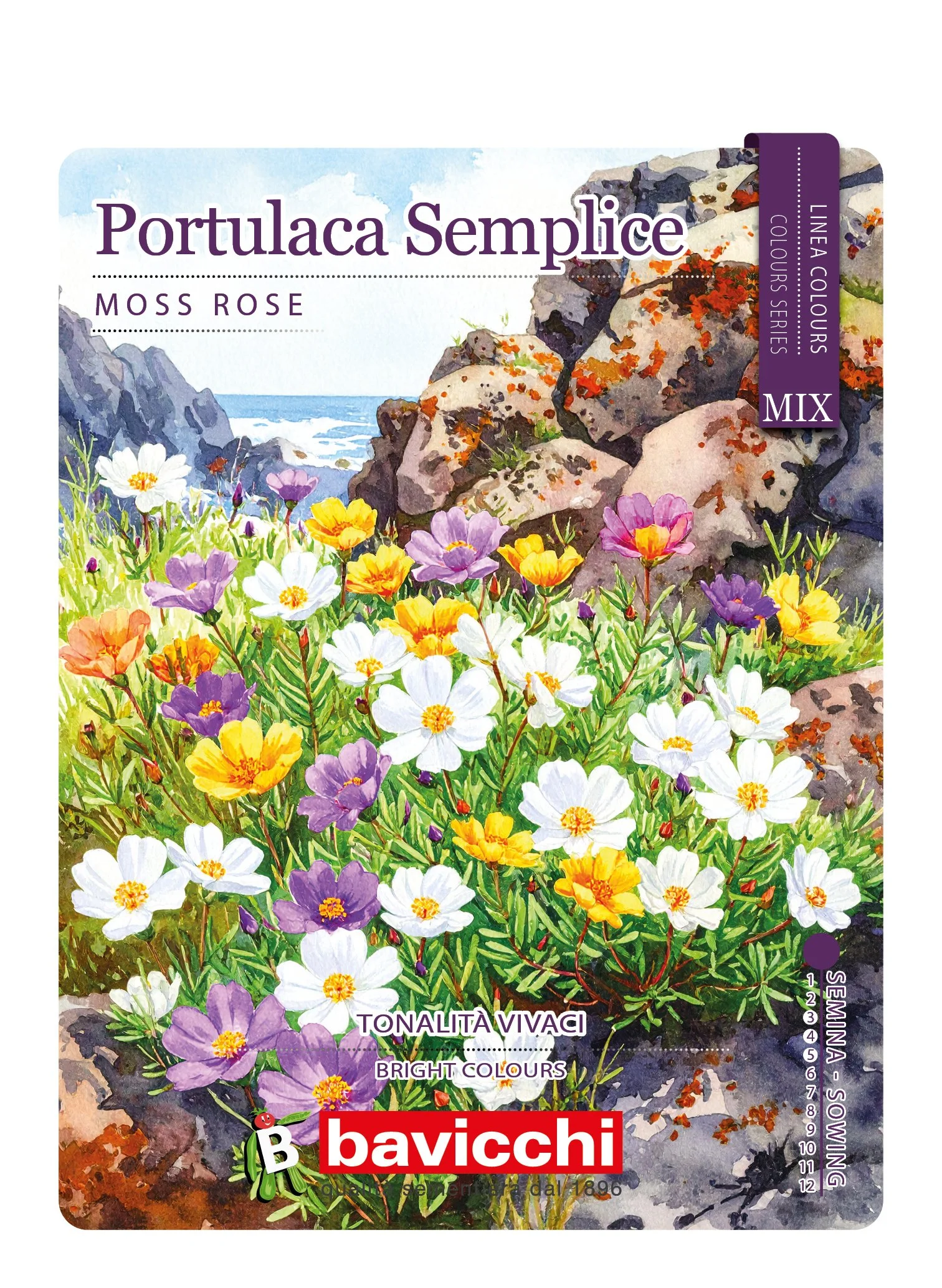 PORTULACA SEMPLICE MIX - FPR0207
